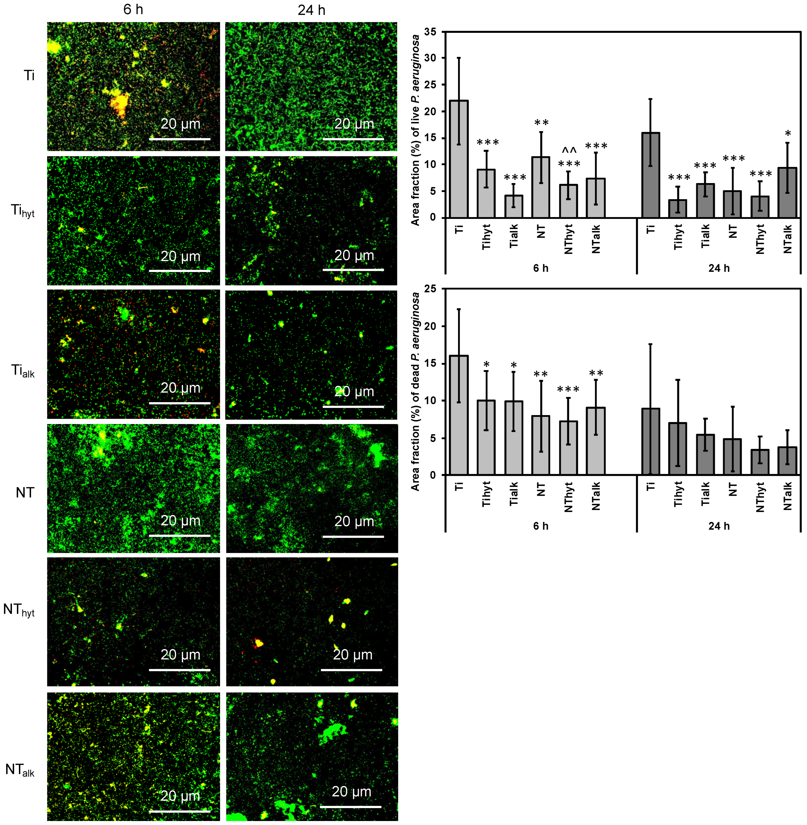 Nanomaterials 13 01606 g007 Nanomaterials 13 01606 g007