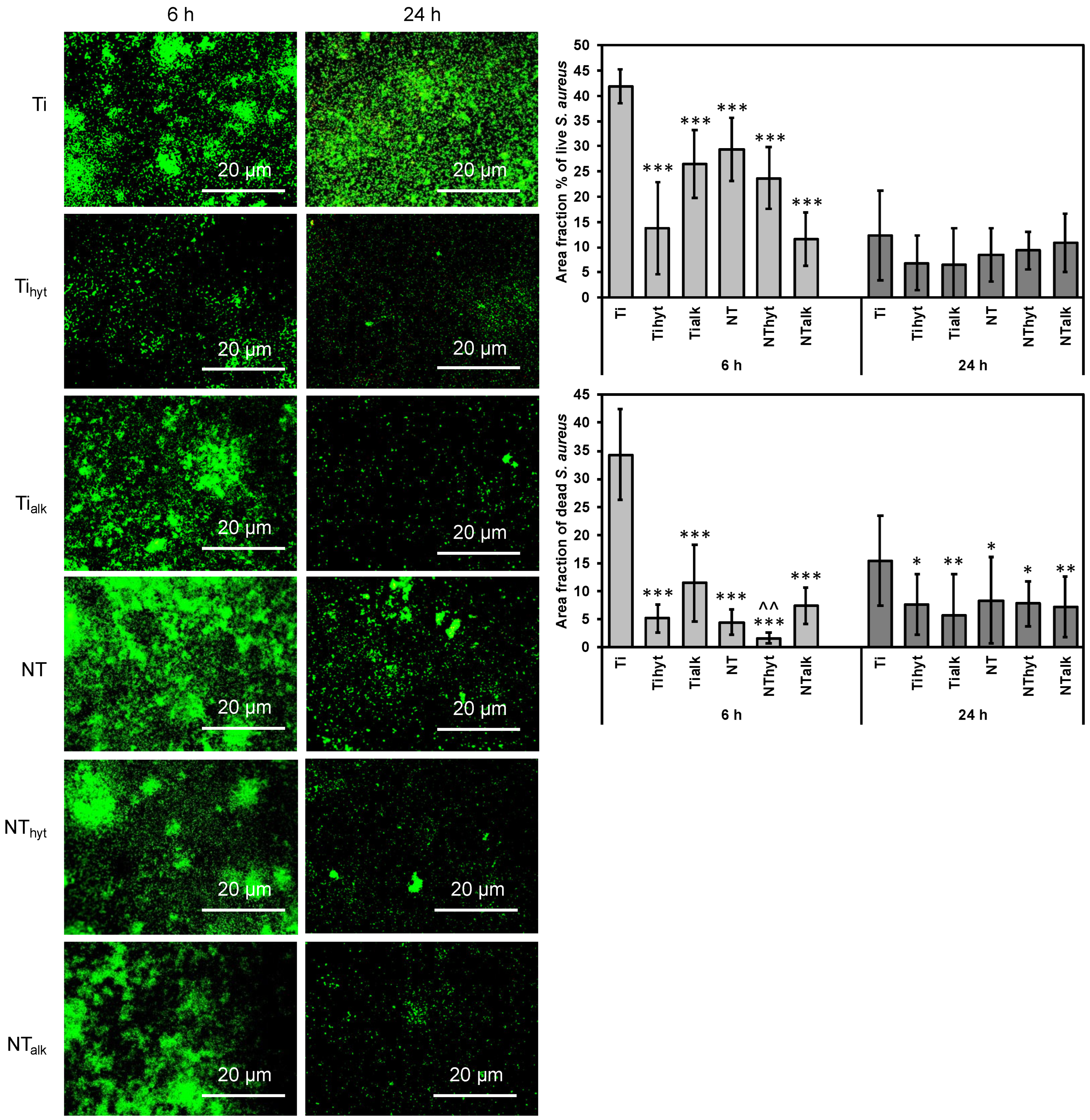 Nanomaterials 13 01606 g008 Nanomaterials 13 01606 g008