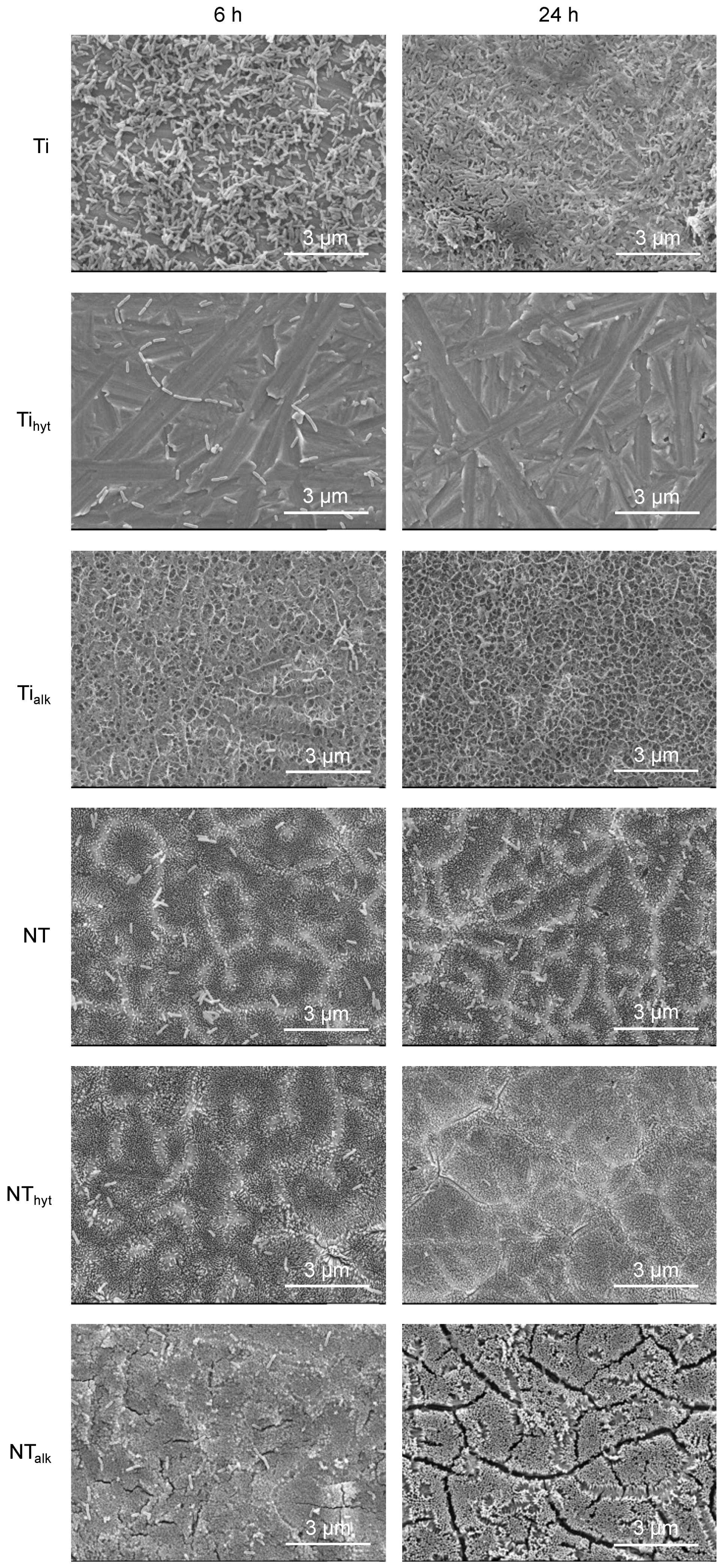 Nanomaterials 13 01606 g009 Nanomaterials 13 01606 g009