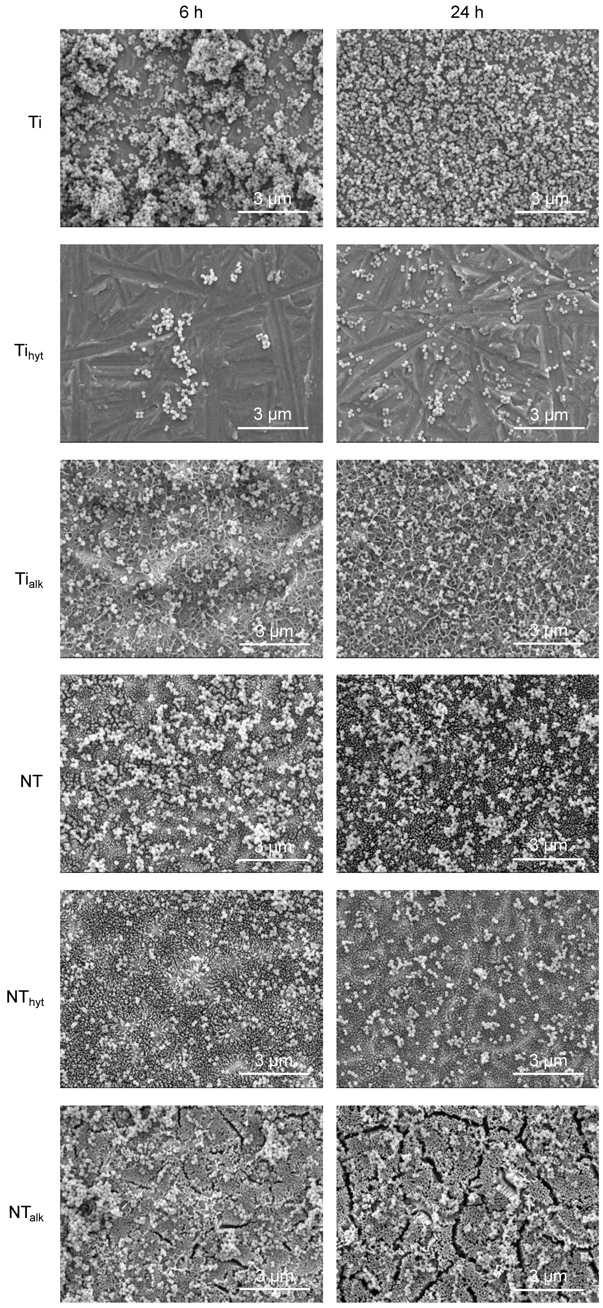Nanomaterials 13 01606 g010 Nanomaterials 13 01606 g010