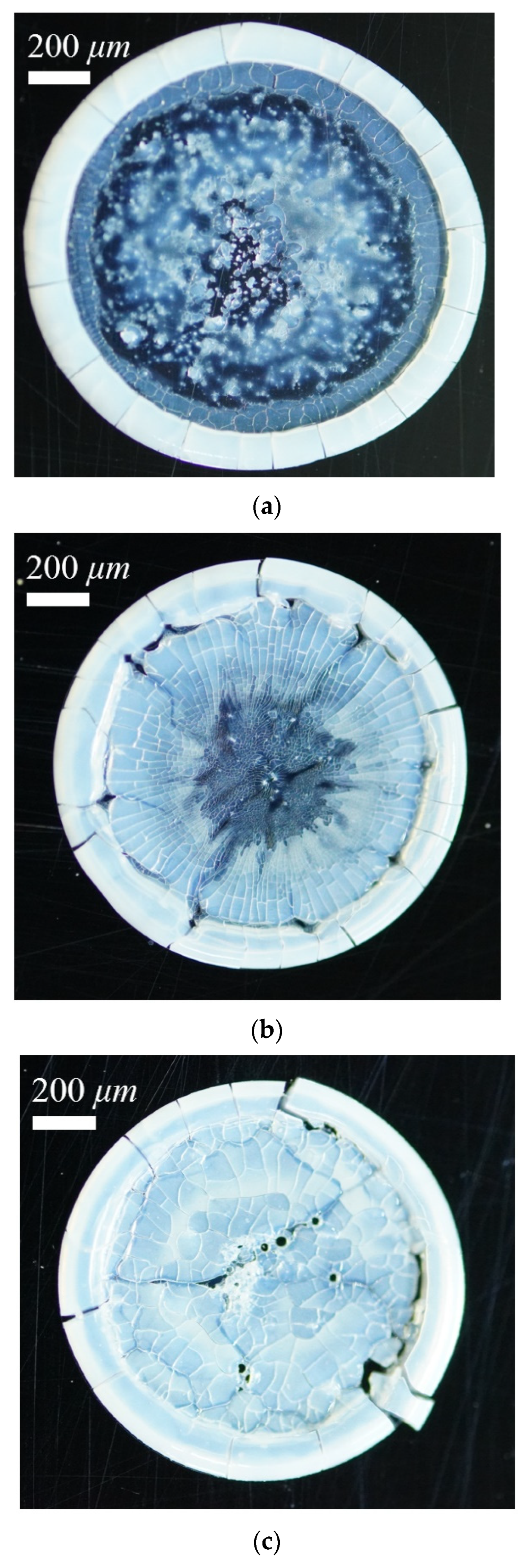 Nanomaterials 13 01609 g003