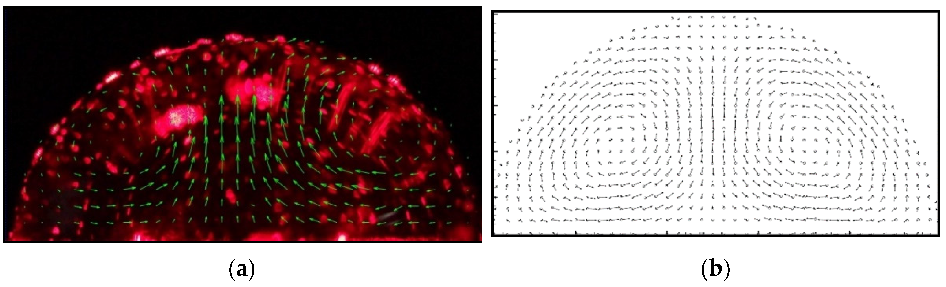 Nanomaterials 13 01609 g007a