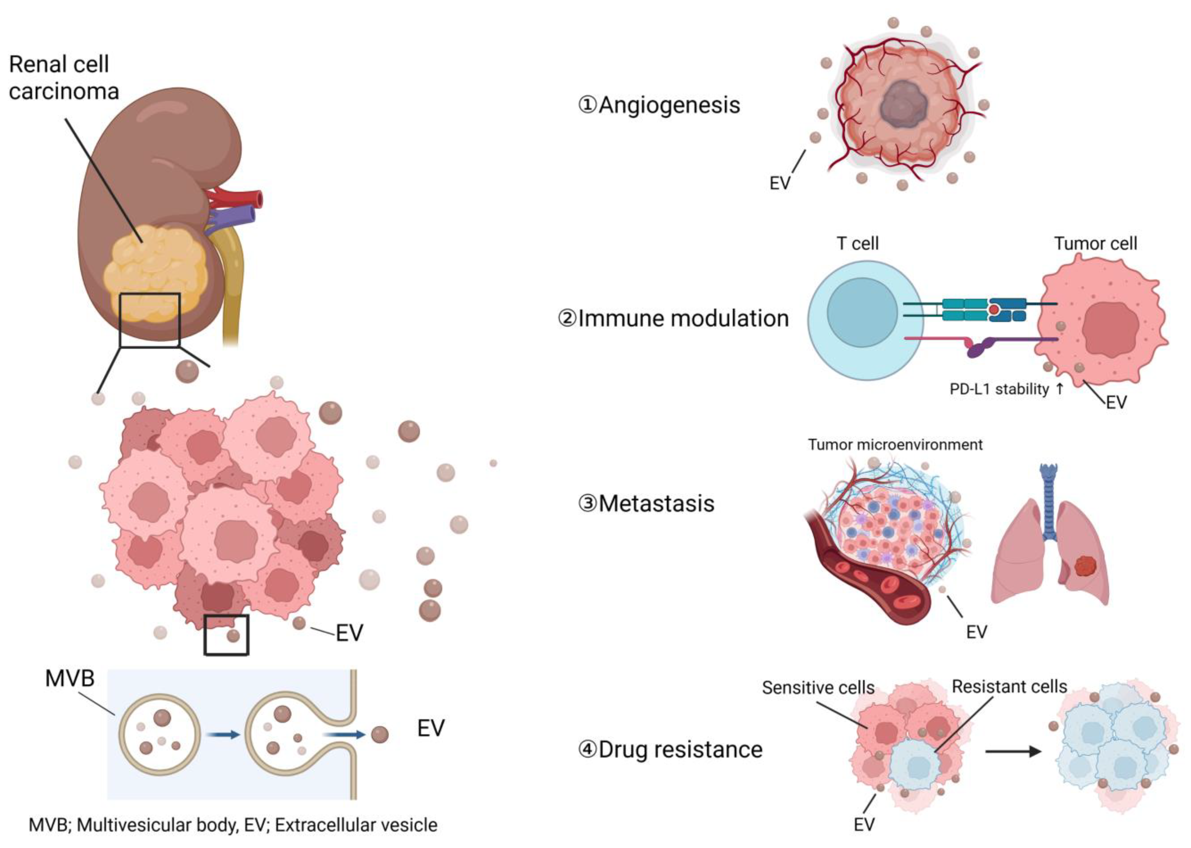 Nanomaterials 13 01611 g001 Nanomaterials 13 01611 g001