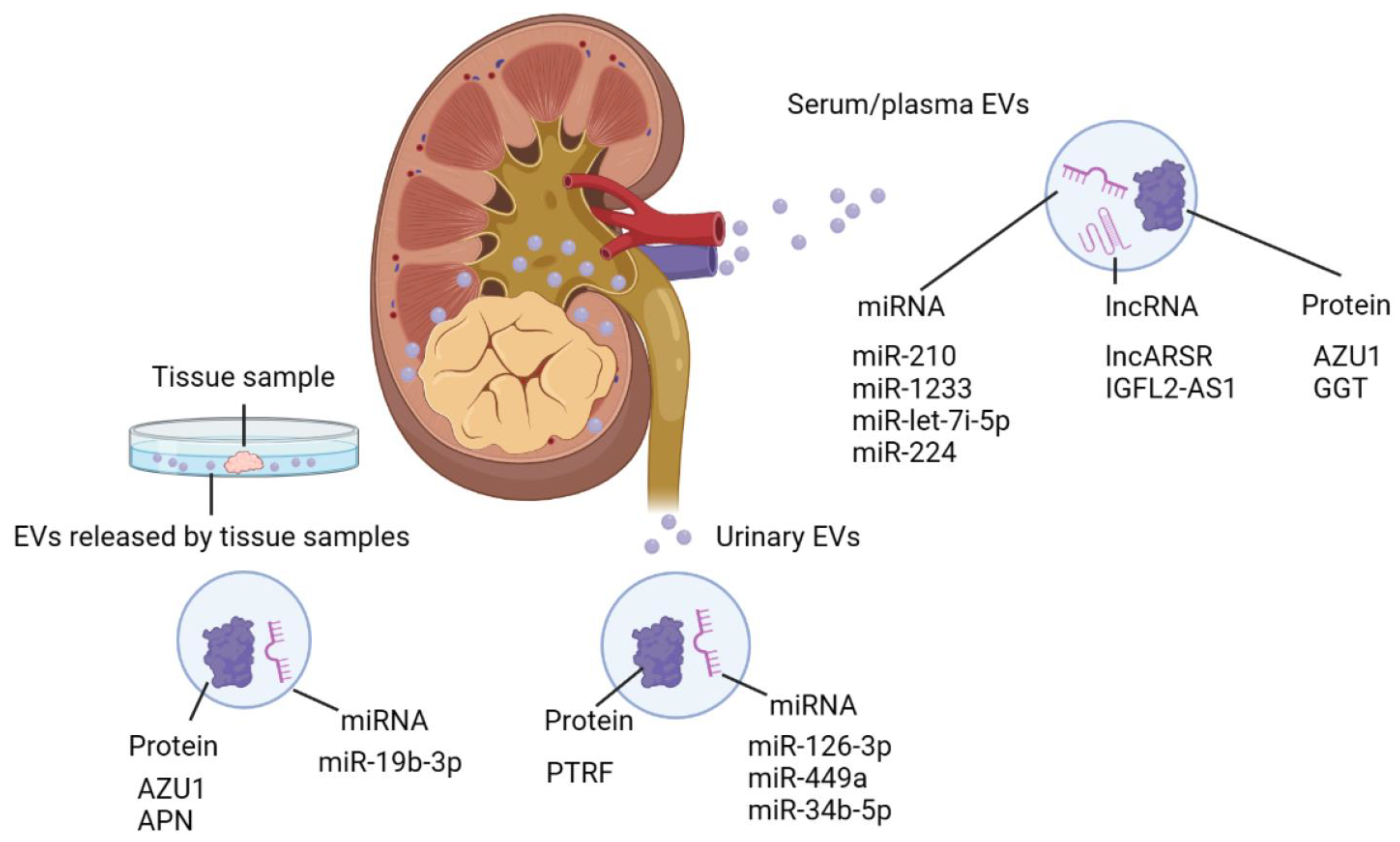 Nanomaterials 13 01611 g002 Nanomaterials 13 01611 g002