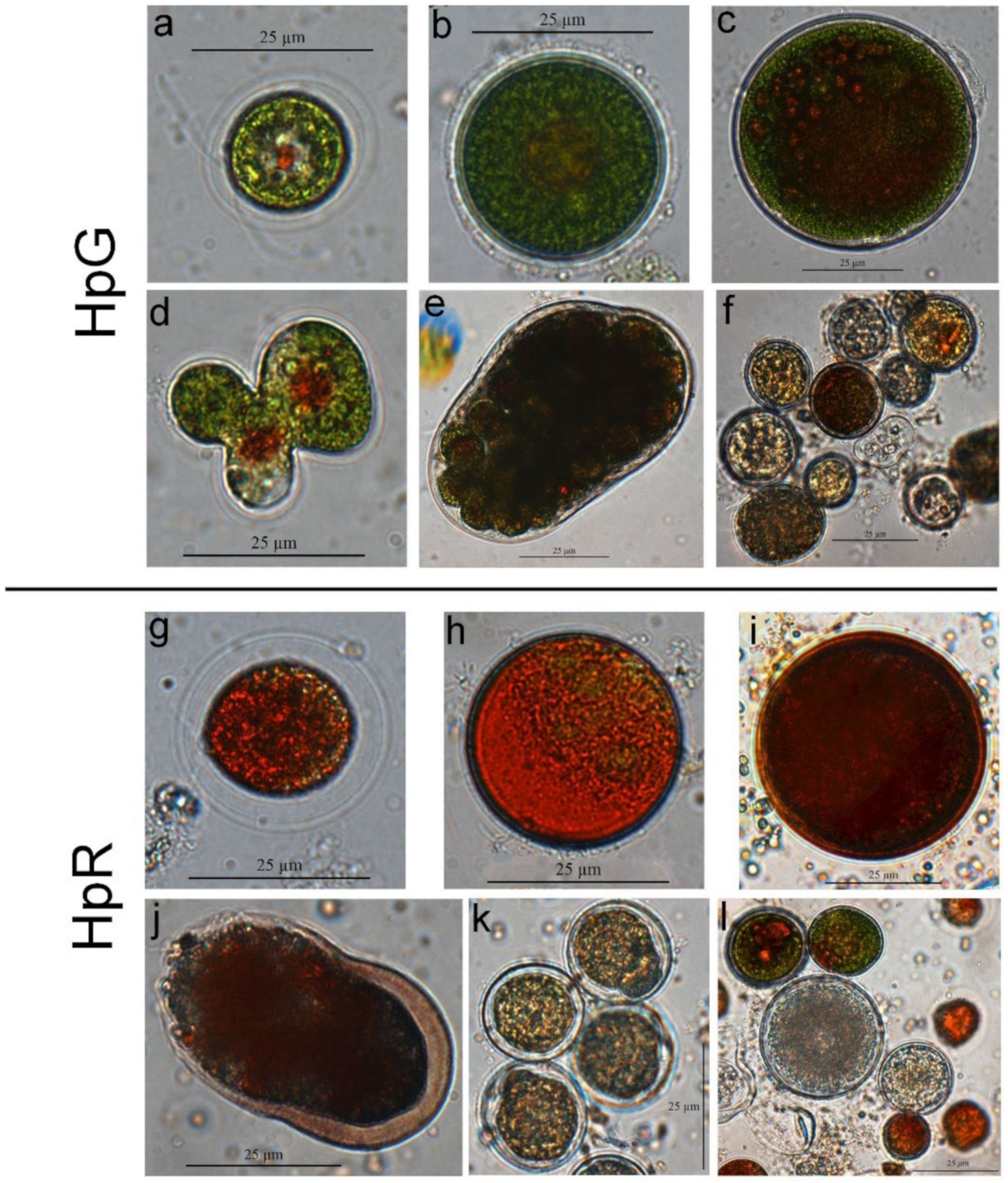 Nanomaterials 13 01618 g004 Nanomaterials 13 01618 g004
