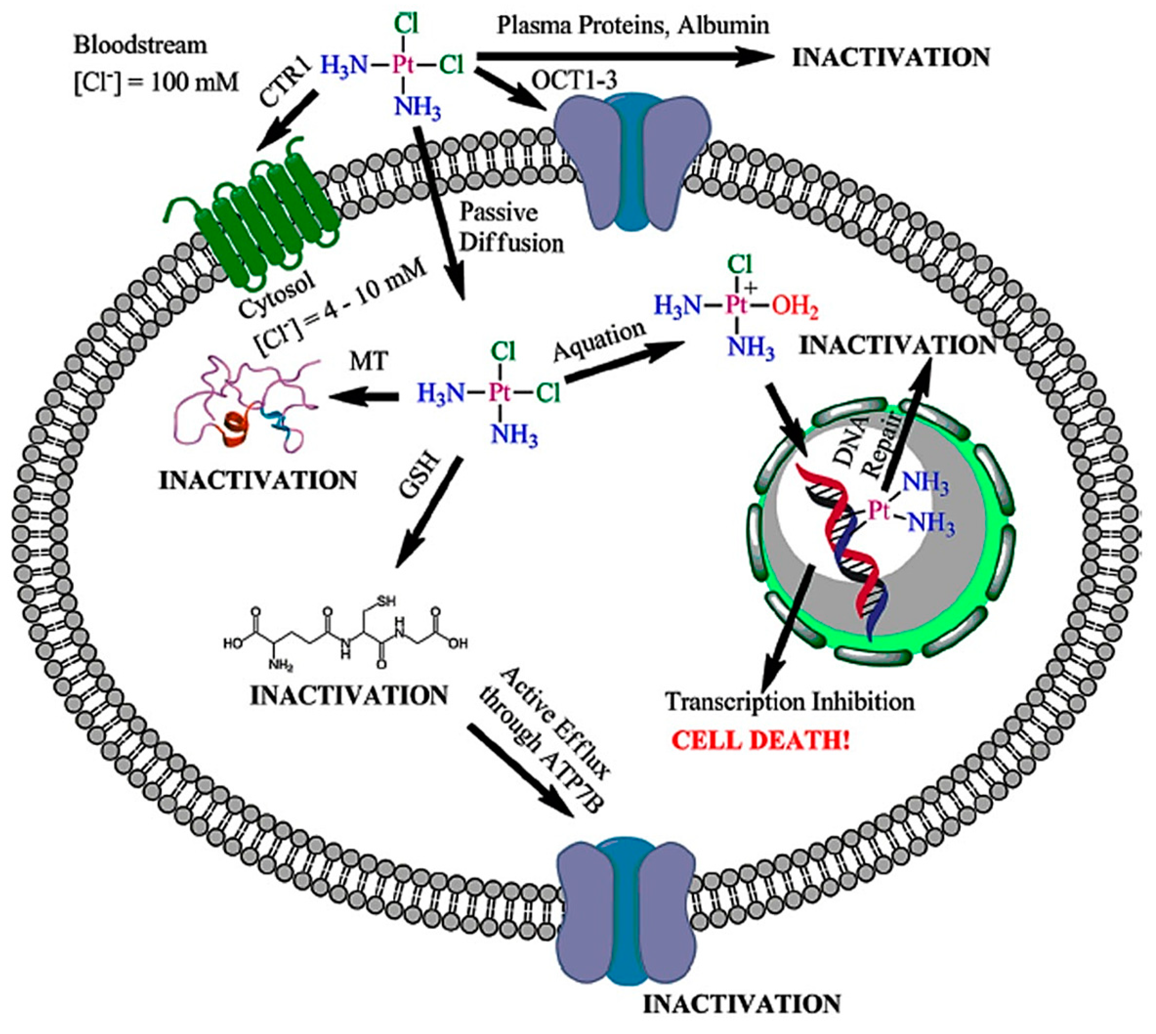Nanomaterials 13 01619 g002 Nanomaterials 13 01619 g002