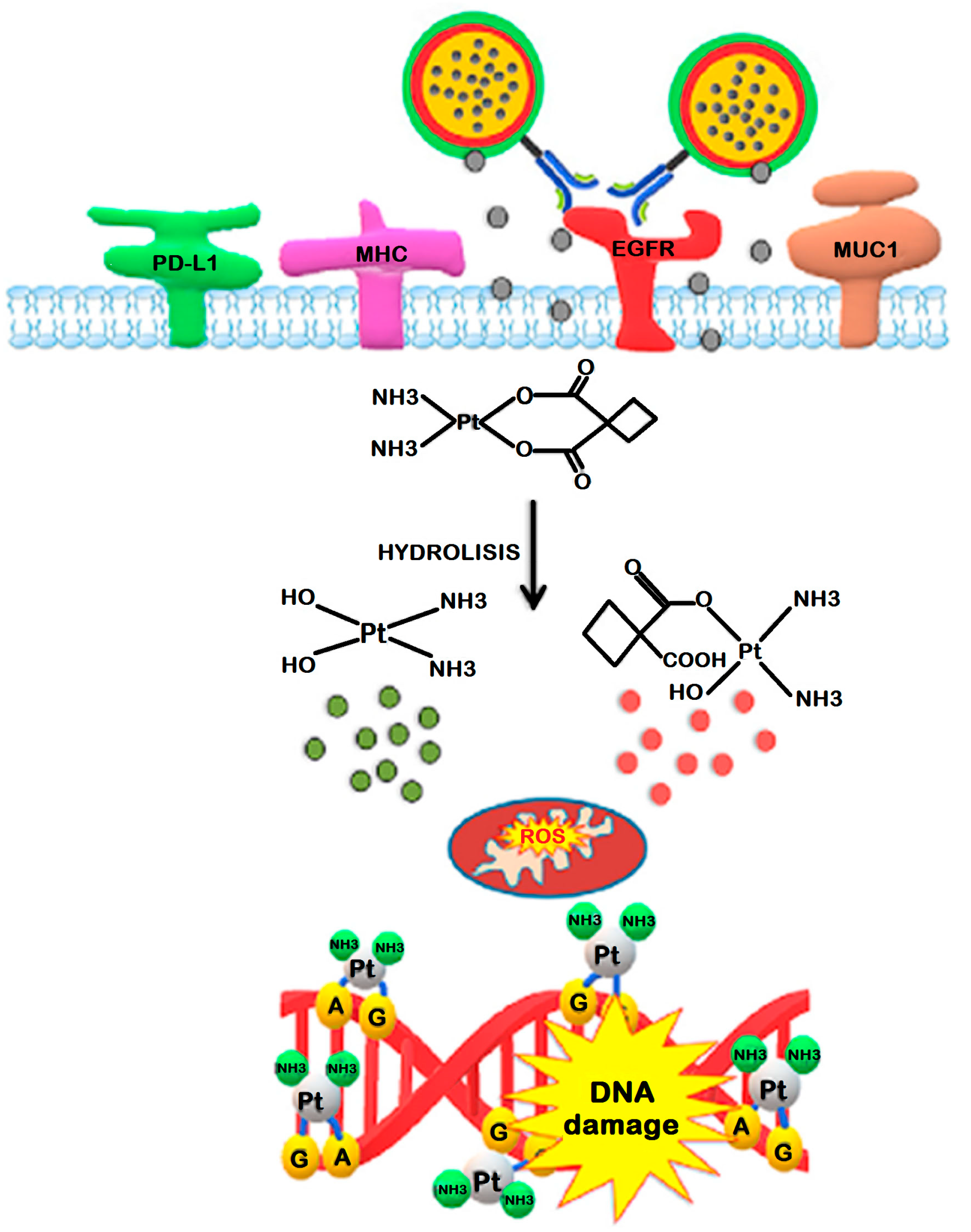 Nanomaterials 13 01619 g004 Nanomaterials 13 01619 g004