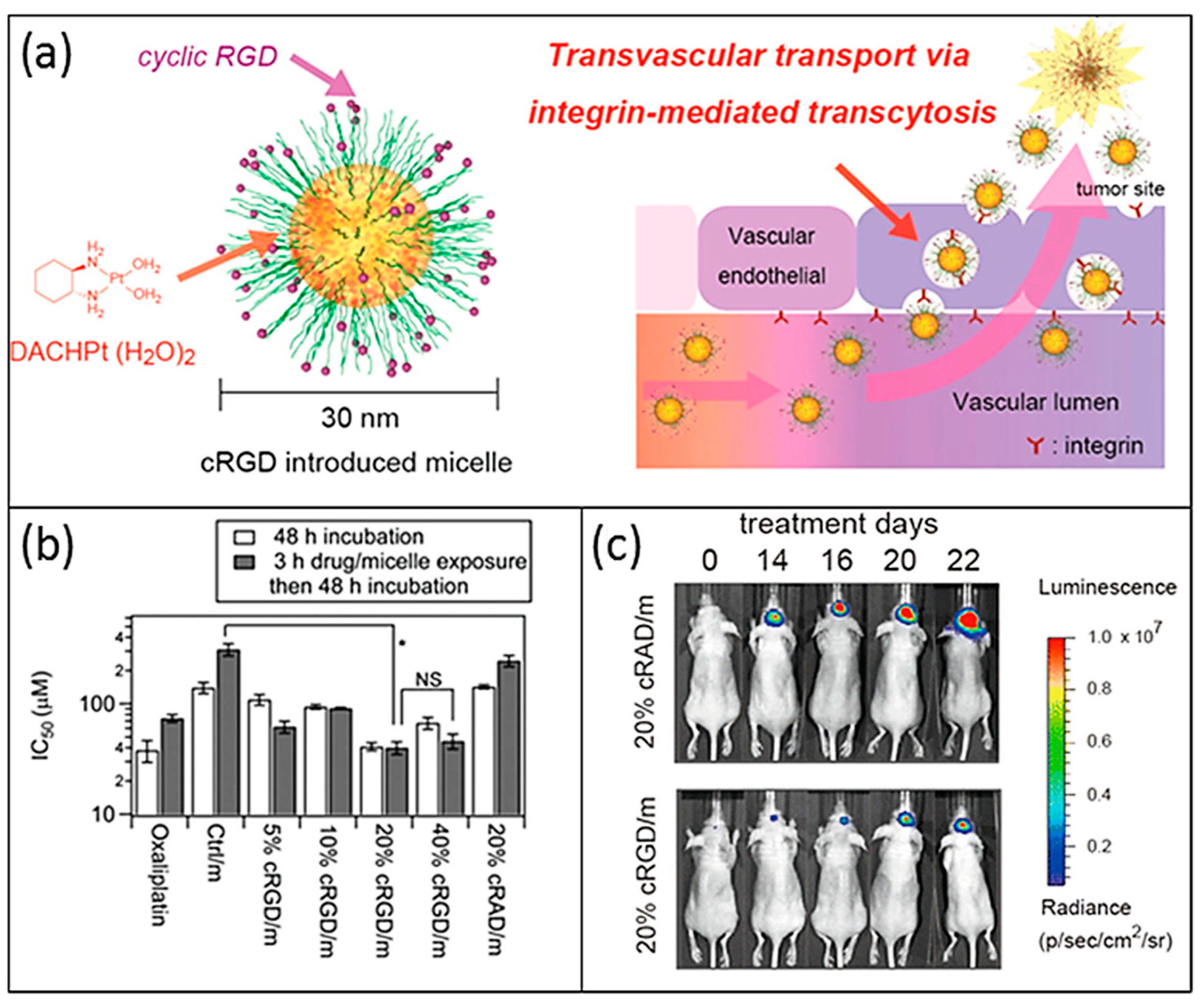 Nanomaterials 13 01619 g005 Nanomaterials 13 01619 g005