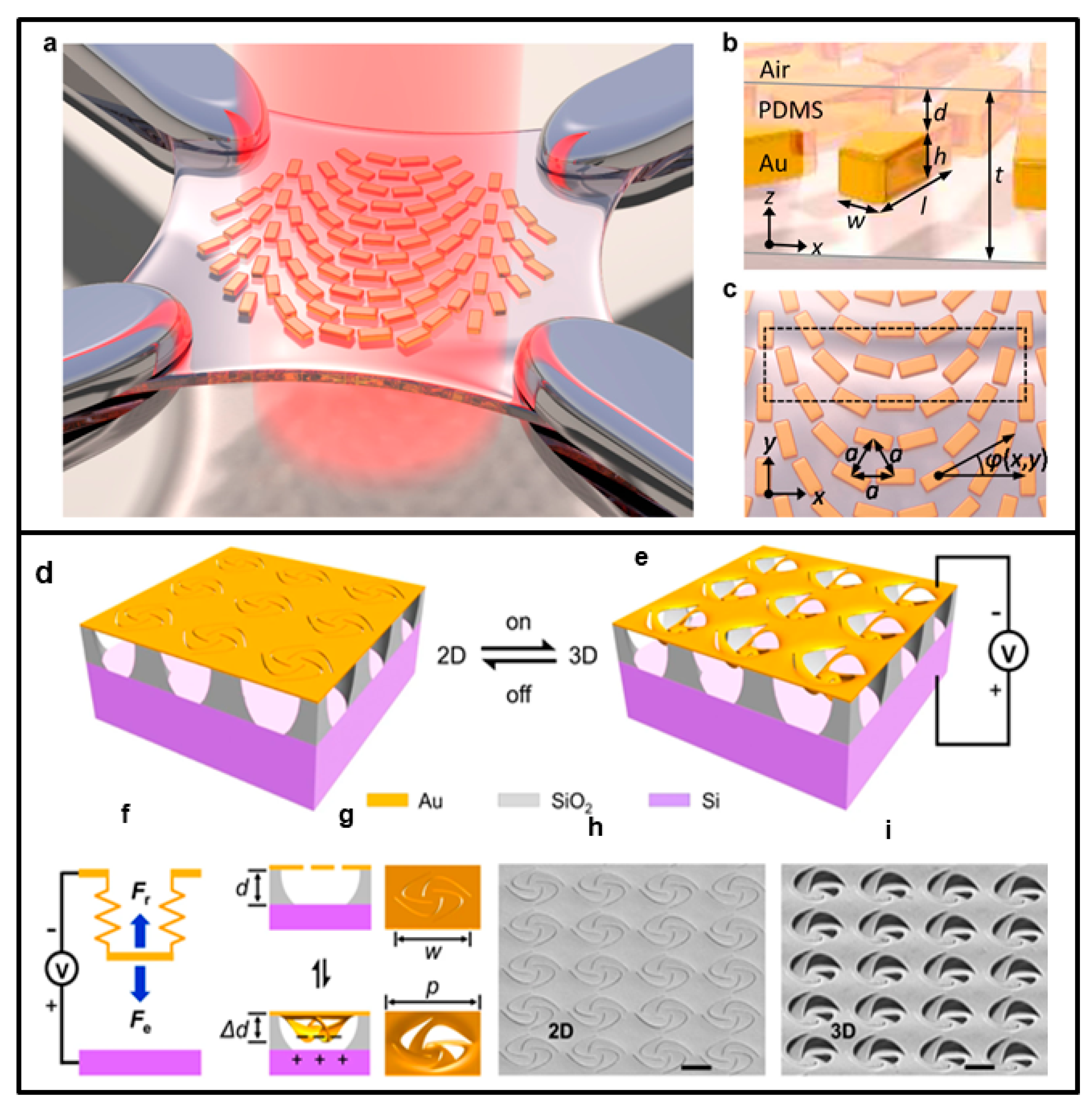 Nanomaterials 13 01633 g007