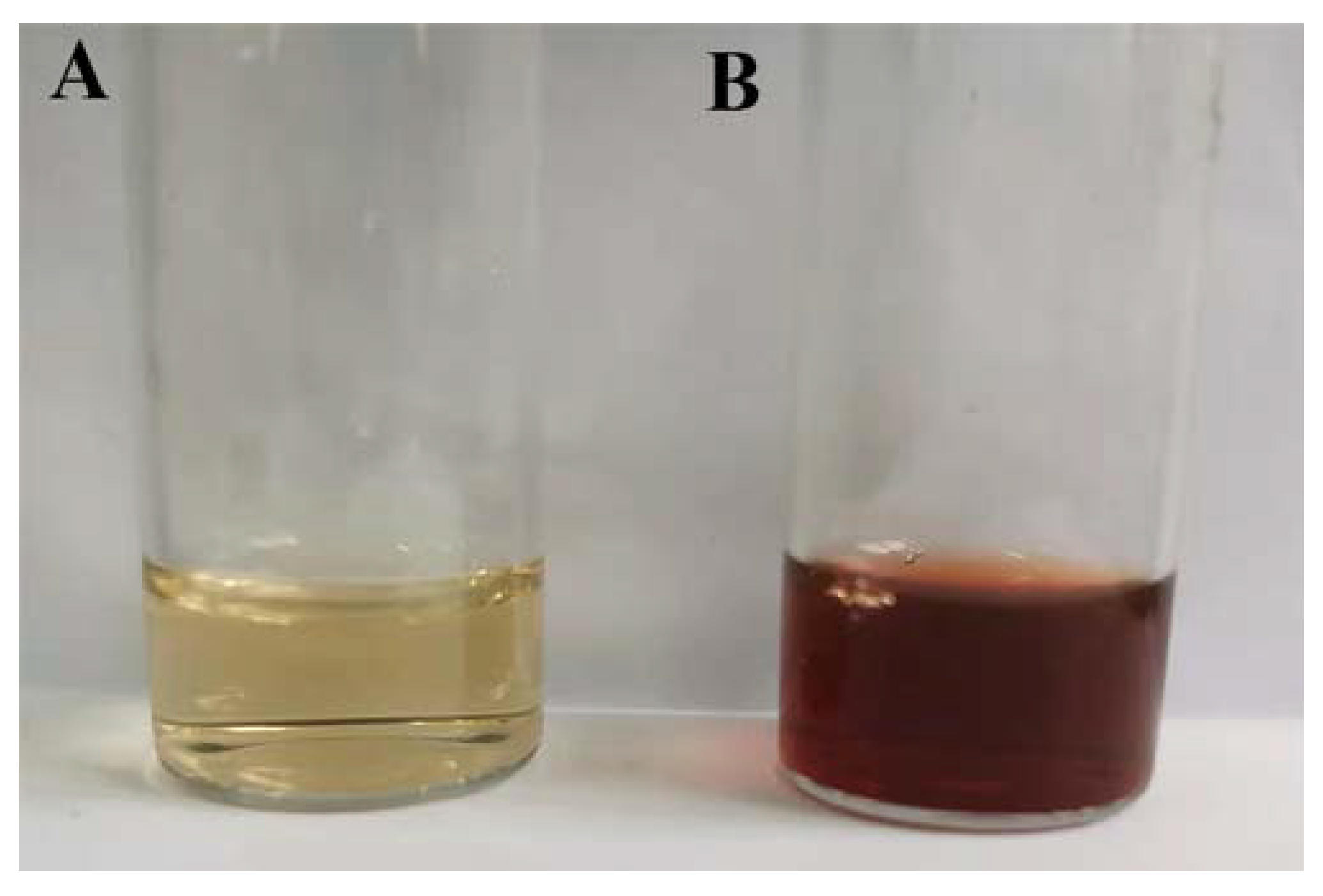 Nanomaterials 13 01637 g001