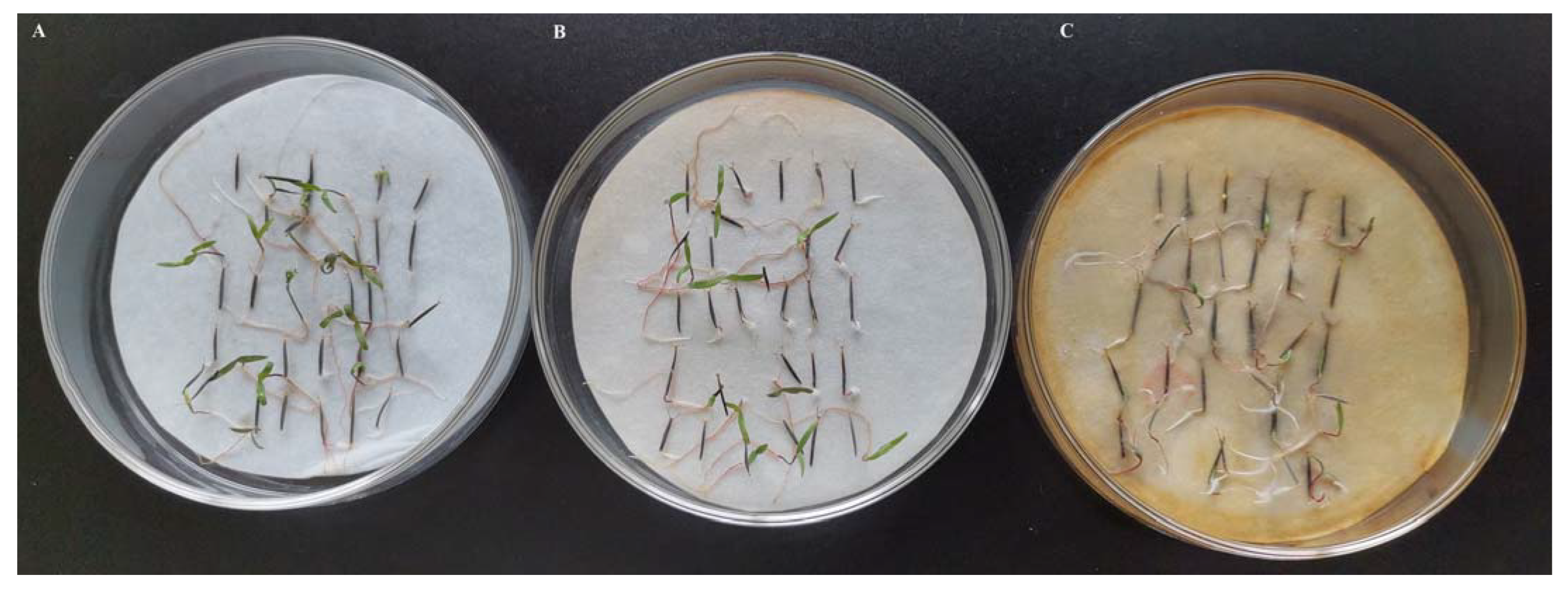 Nanomaterials 13 01637 g007