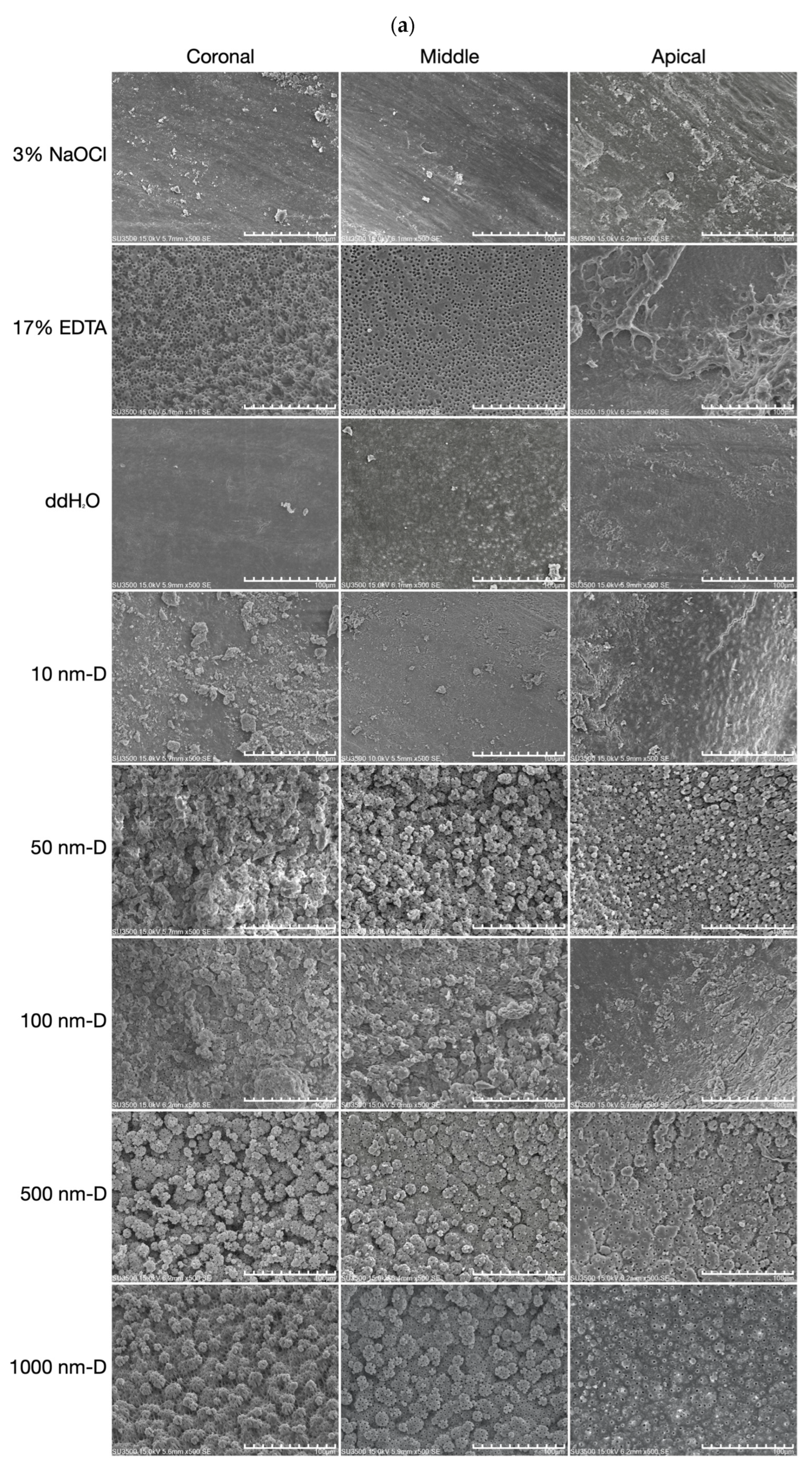 Nanomaterials 13 01646 g002a Nanomaterials 13 01646 g002a
