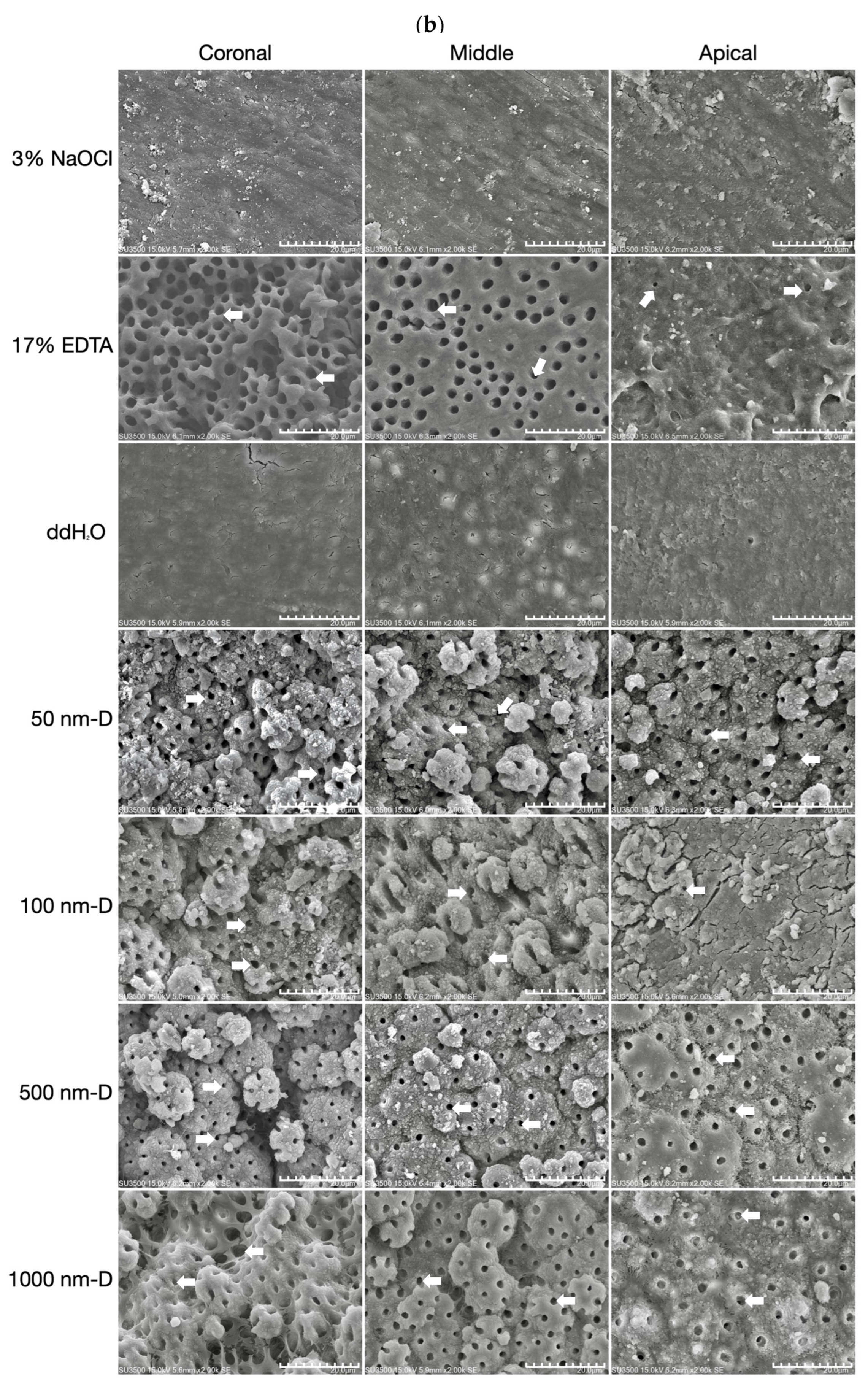 Nanomaterials 13 01646 g002b Nanomaterials 13 01646 g002b