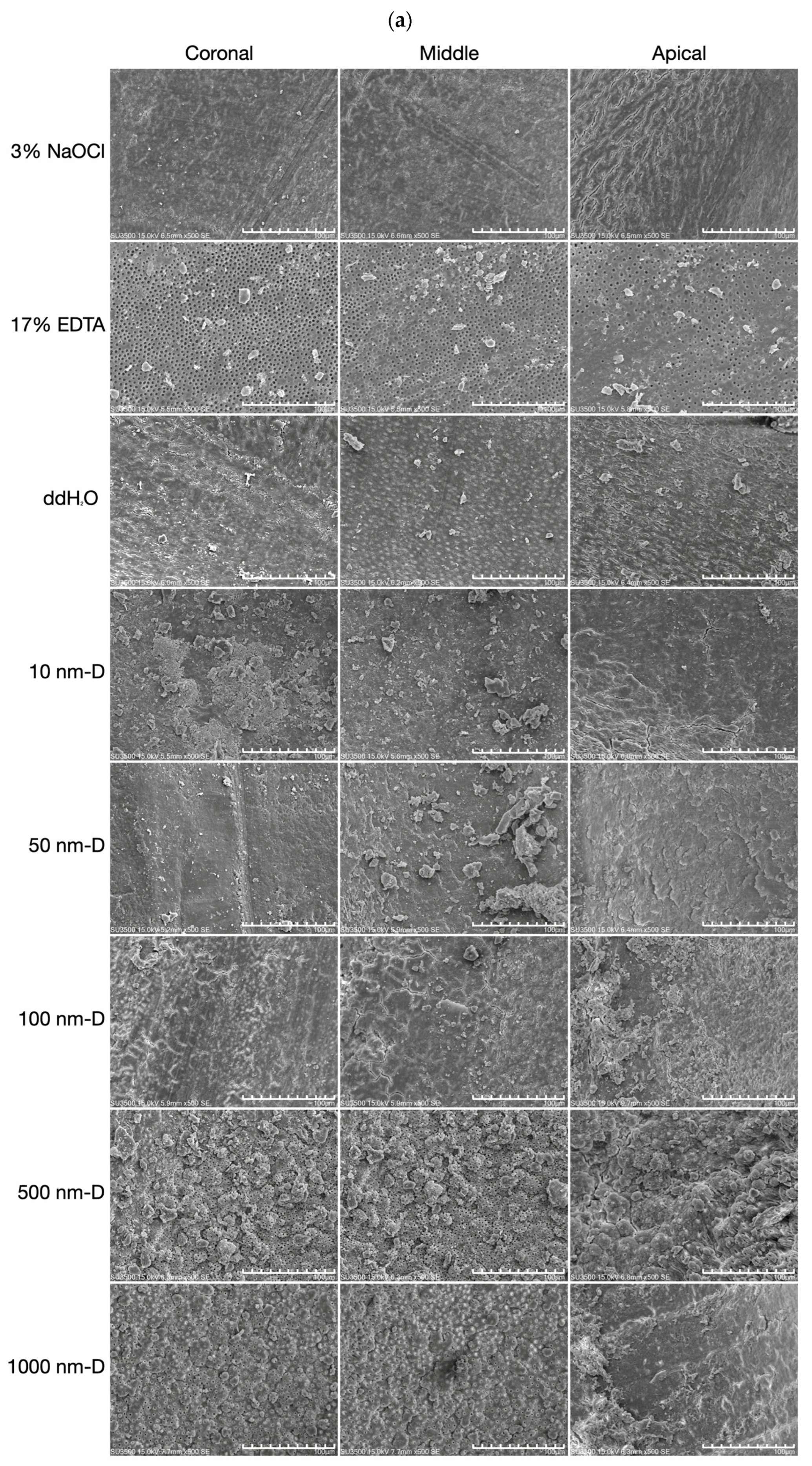Nanomaterials 13 01646 g004a Nanomaterials 13 01646 g004a