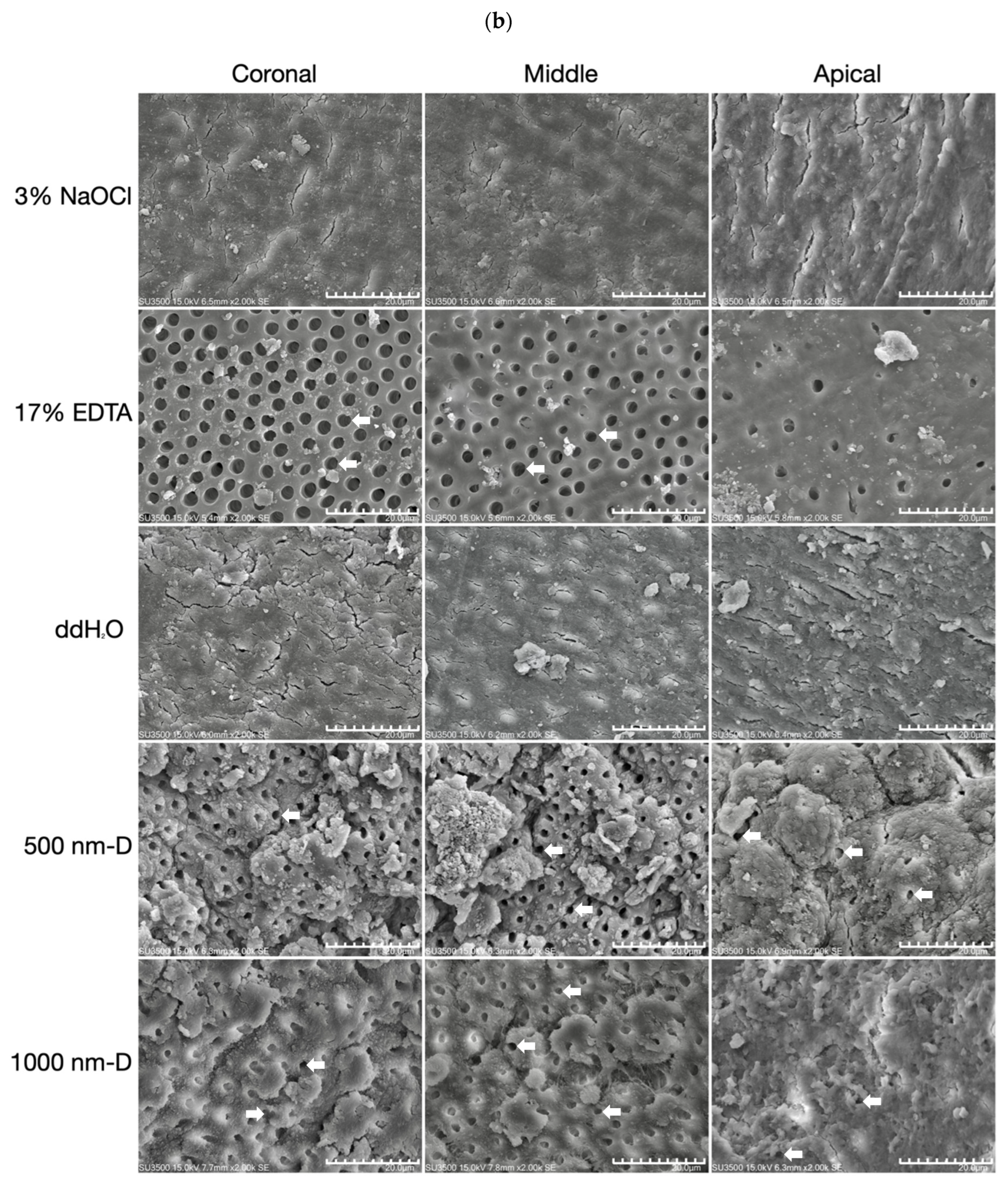 Nanomaterials 13 01646 g004b Nanomaterials 13 01646 g004b