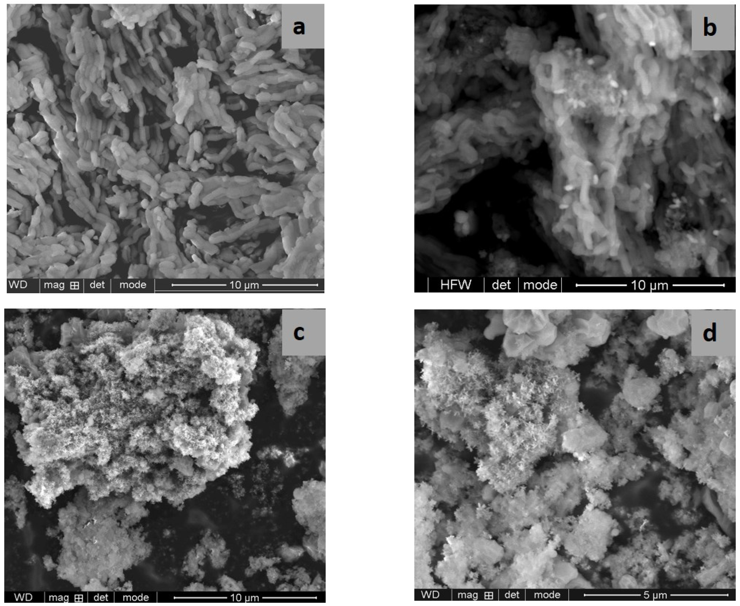 Nanomaterials 13 01647 g004 Nanomaterials 13 01647 g004