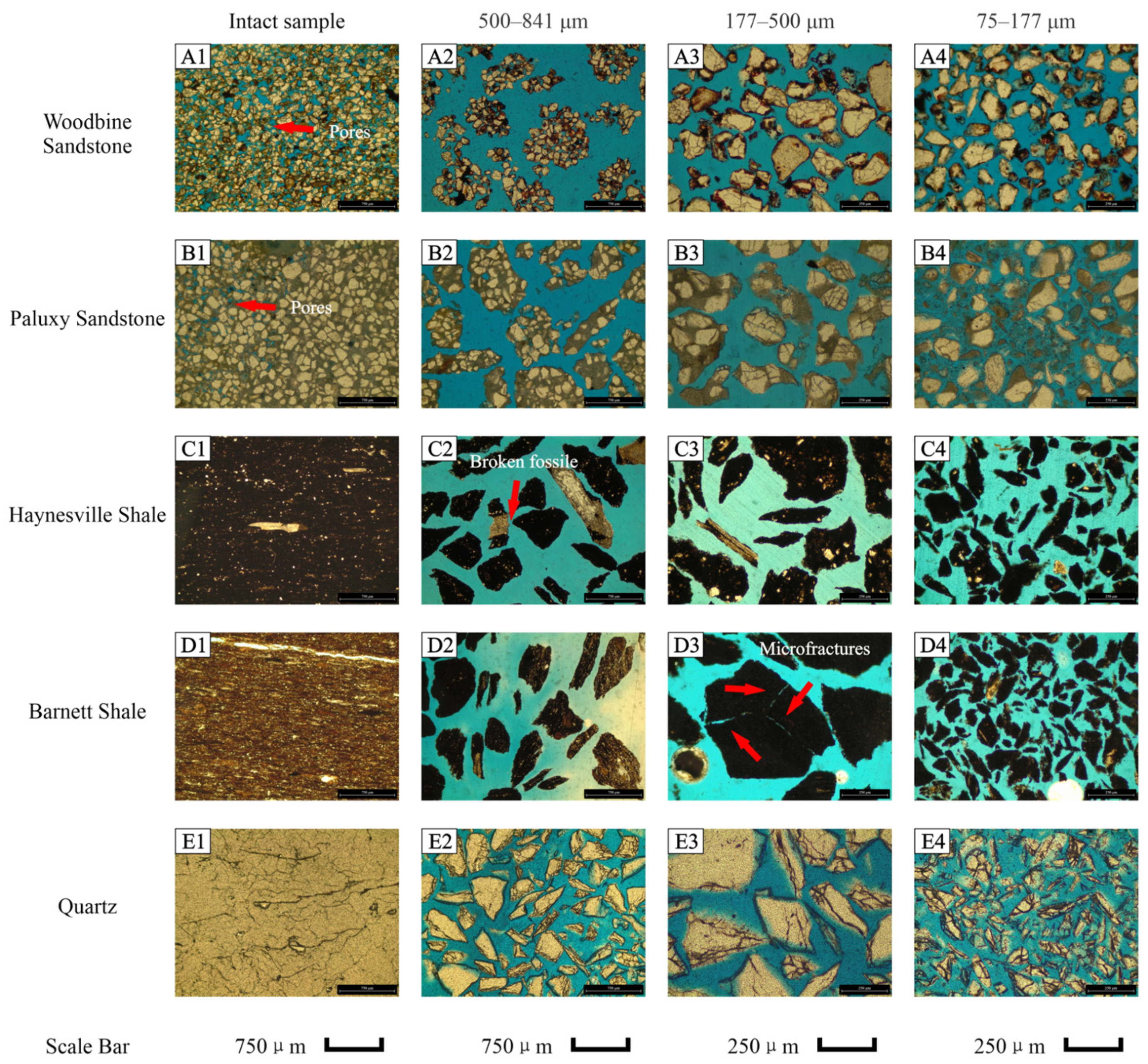 Nanomaterials 13 01651 g003