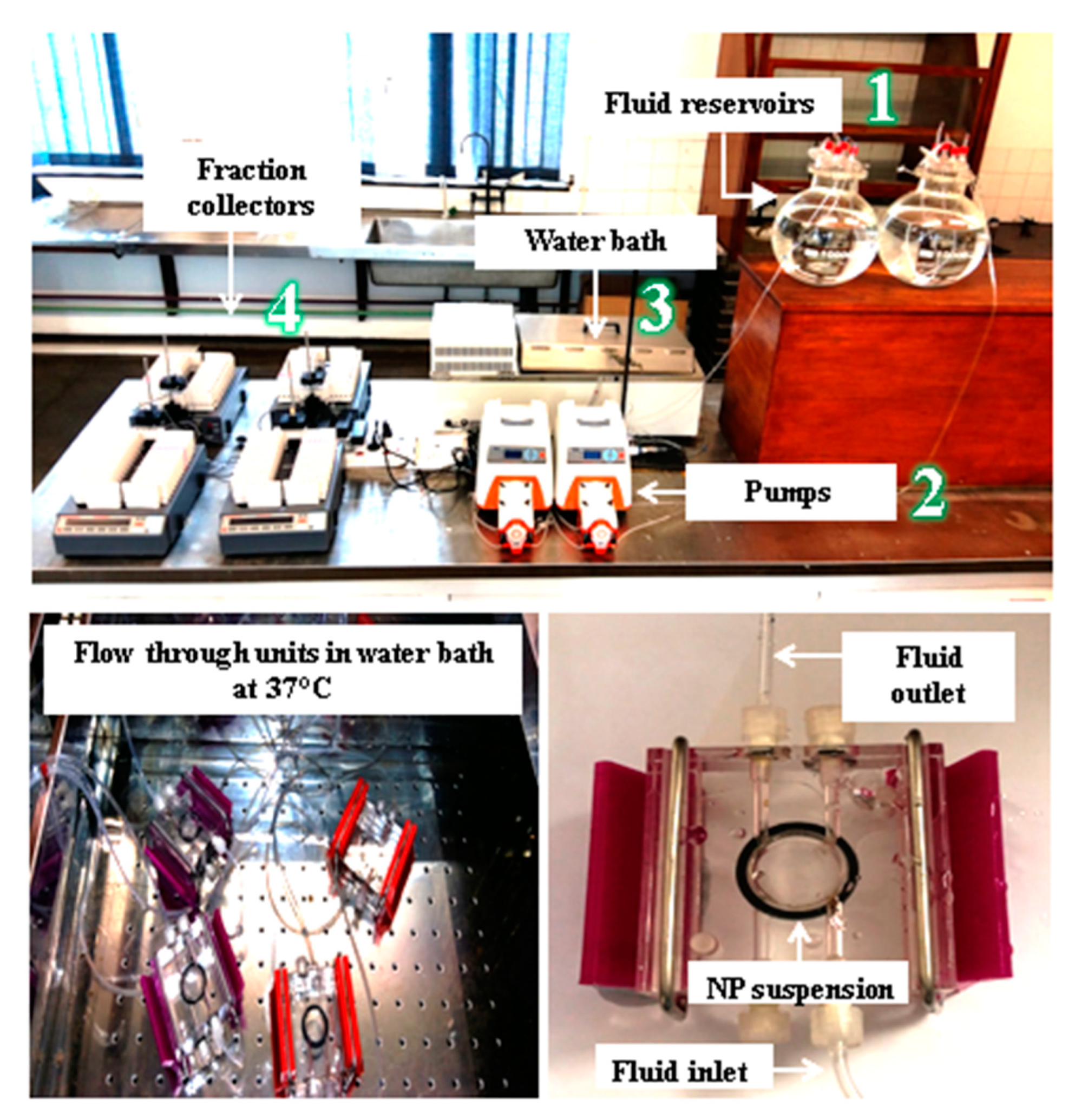 Nanomaterials 13 01653 g001 Nanomaterials 13 01653 g001