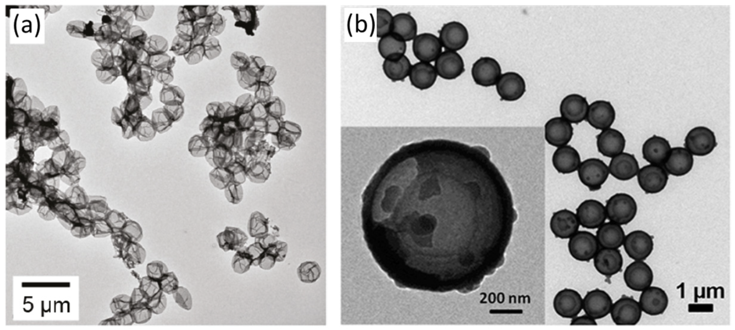 Nanomaterials 13 01656 g003