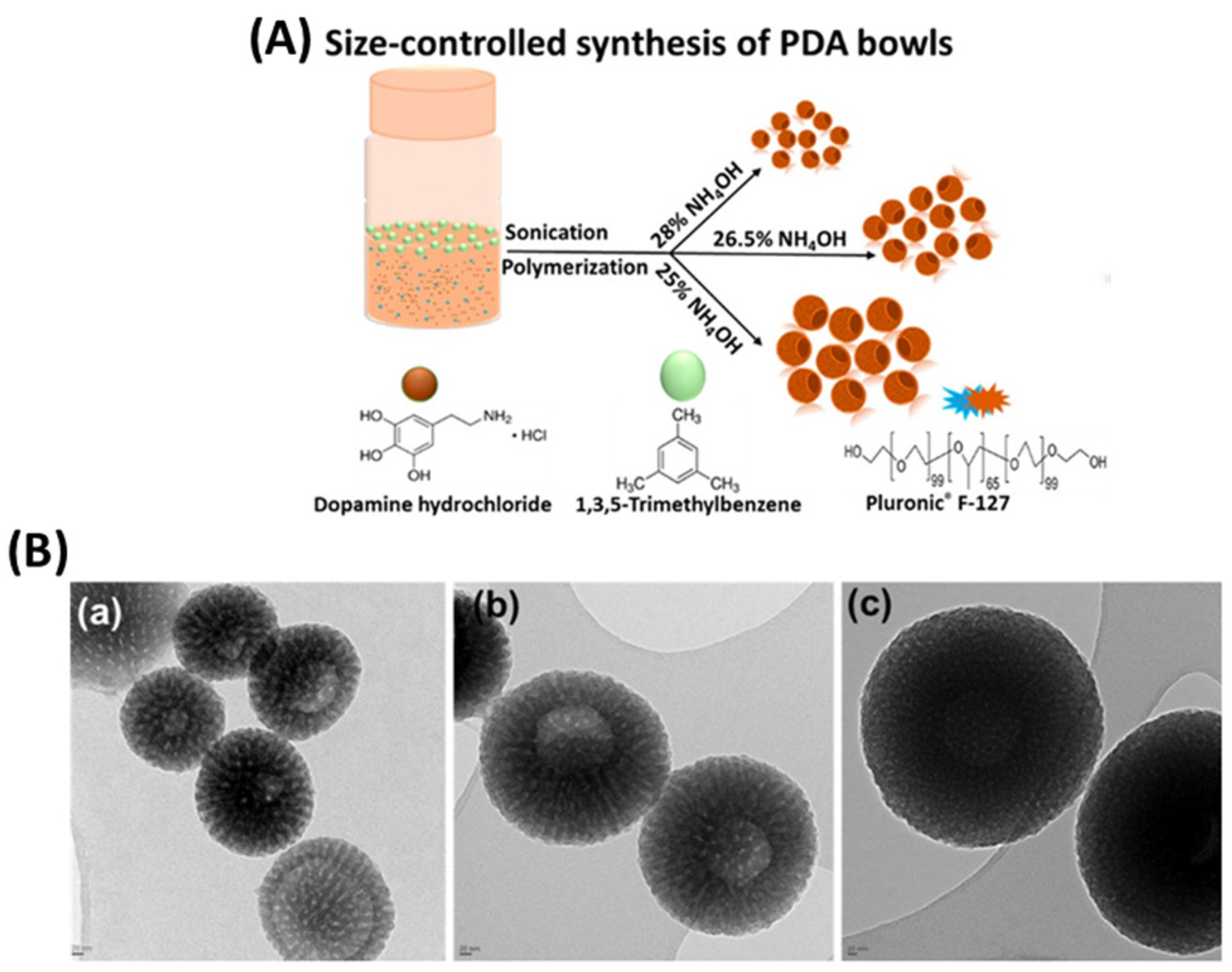 Nanomaterials 13 01656 g006