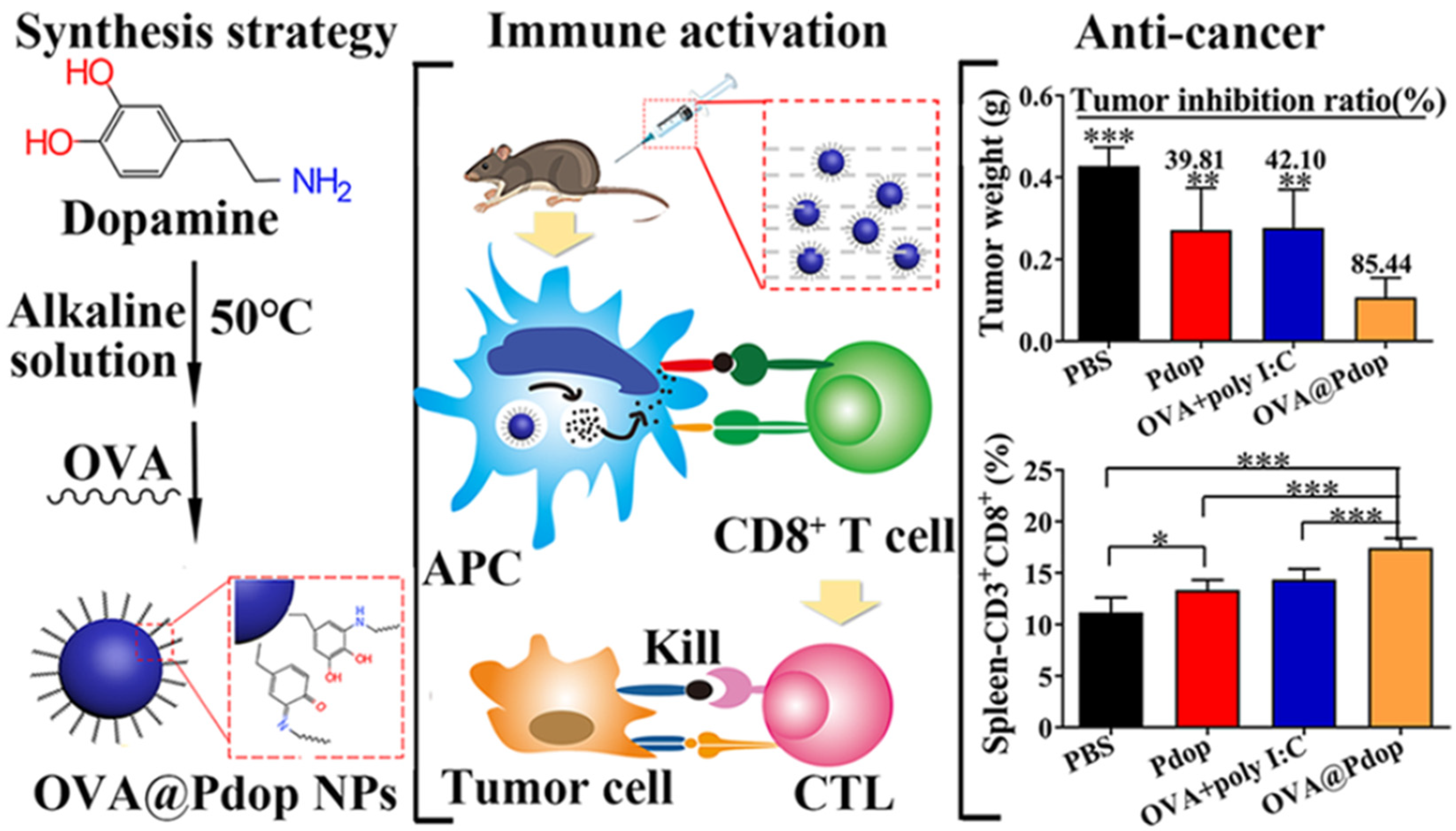 Nanomaterials 13 01656 g011