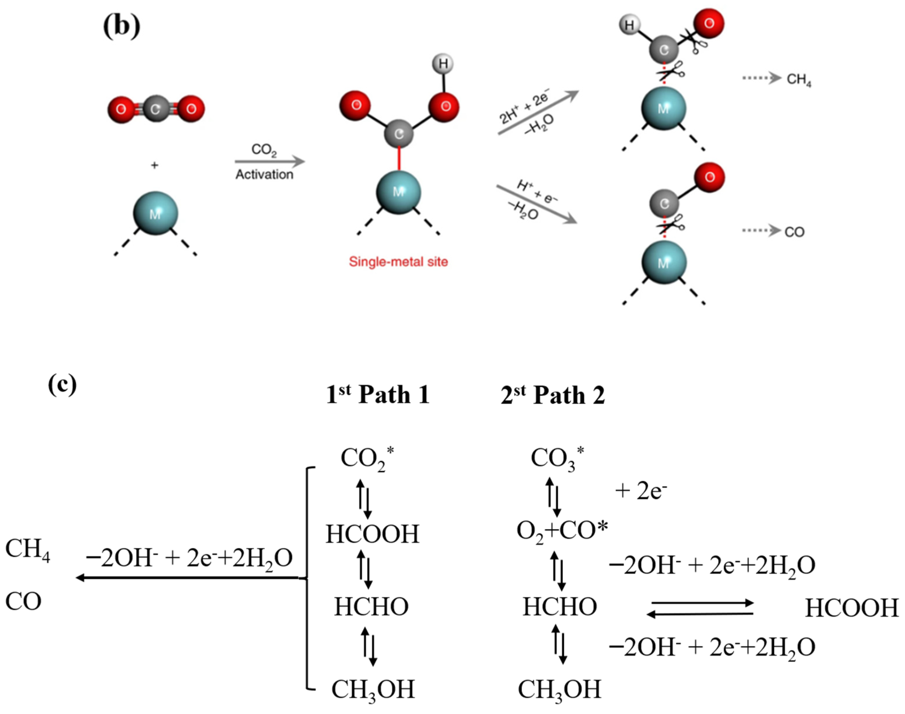 Nanomaterials 13 01664 g013b