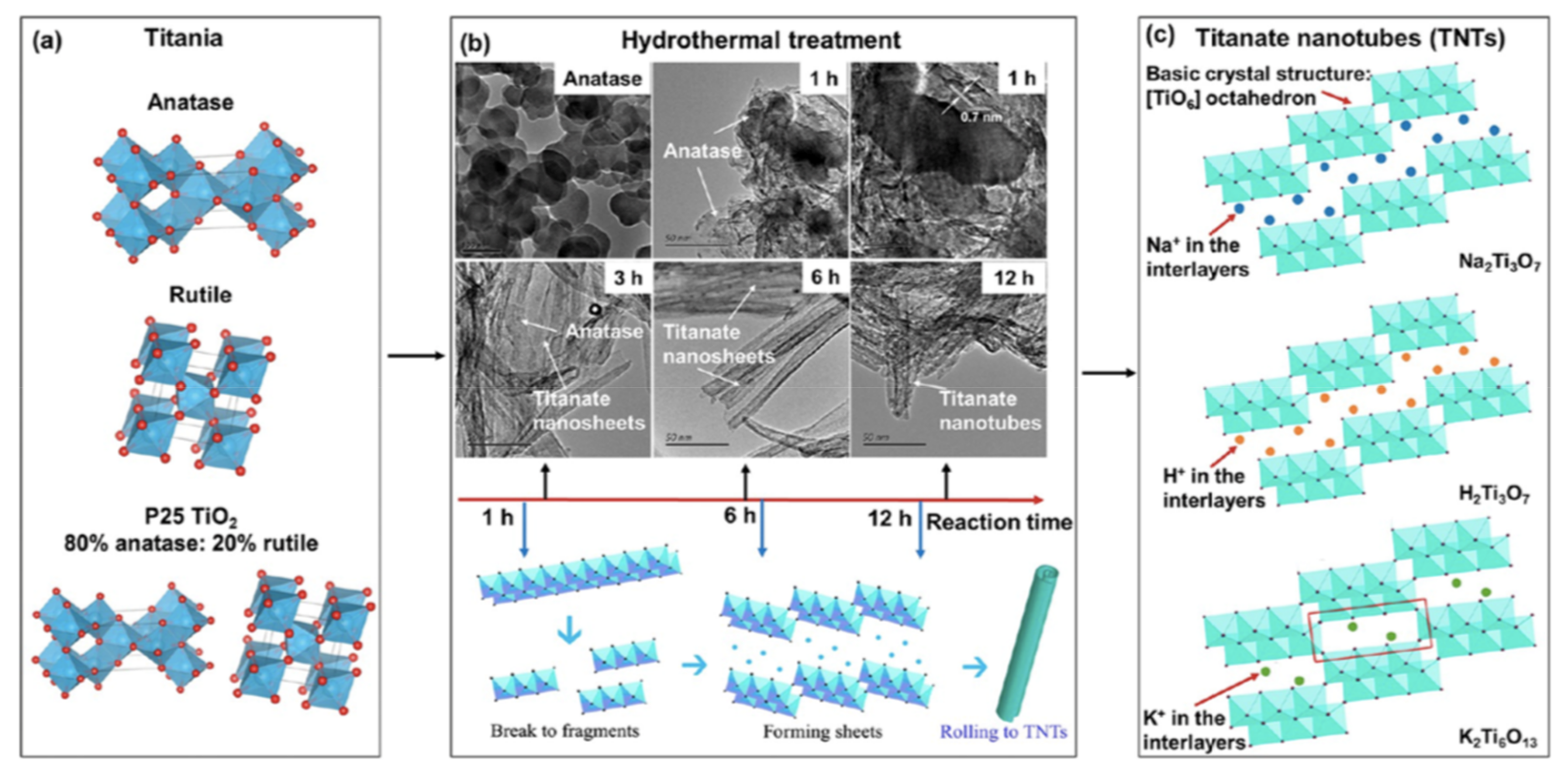 Nanomaterials 13 01668 g009