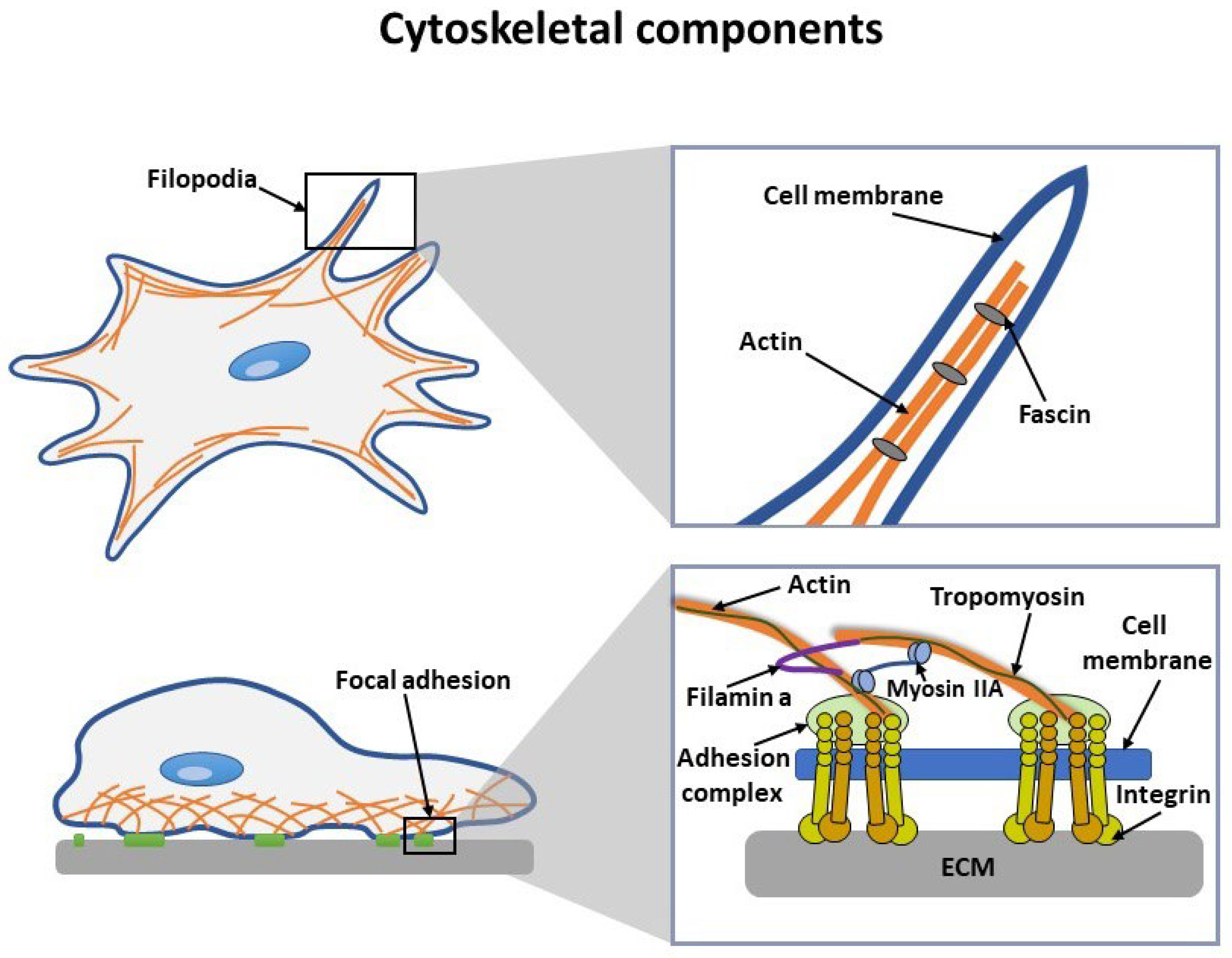 Nanomaterials 13 01682 g002 Nanomaterials 13 01682 g002