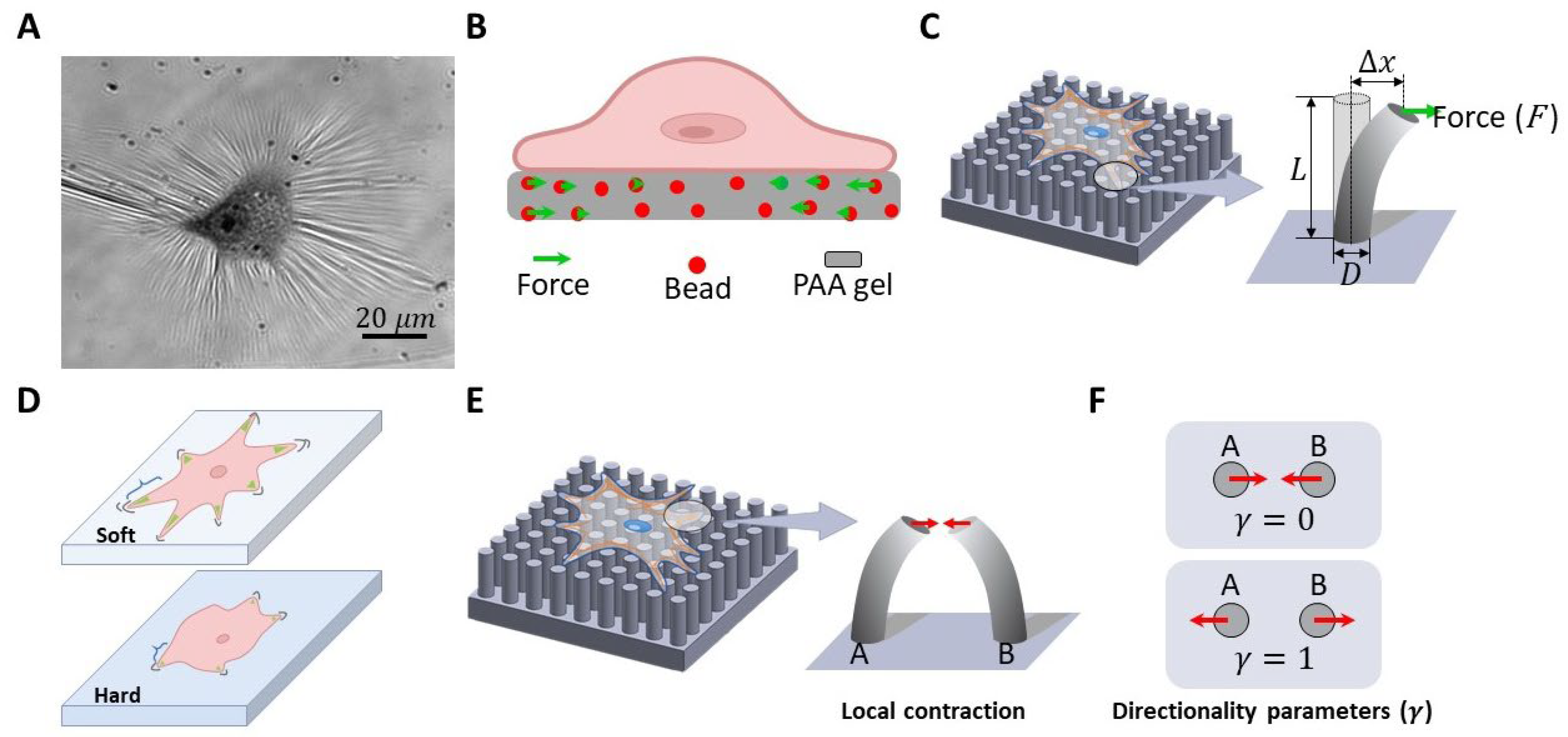 Nanomaterials 13 01682 g003 Nanomaterials 13 01682 g003