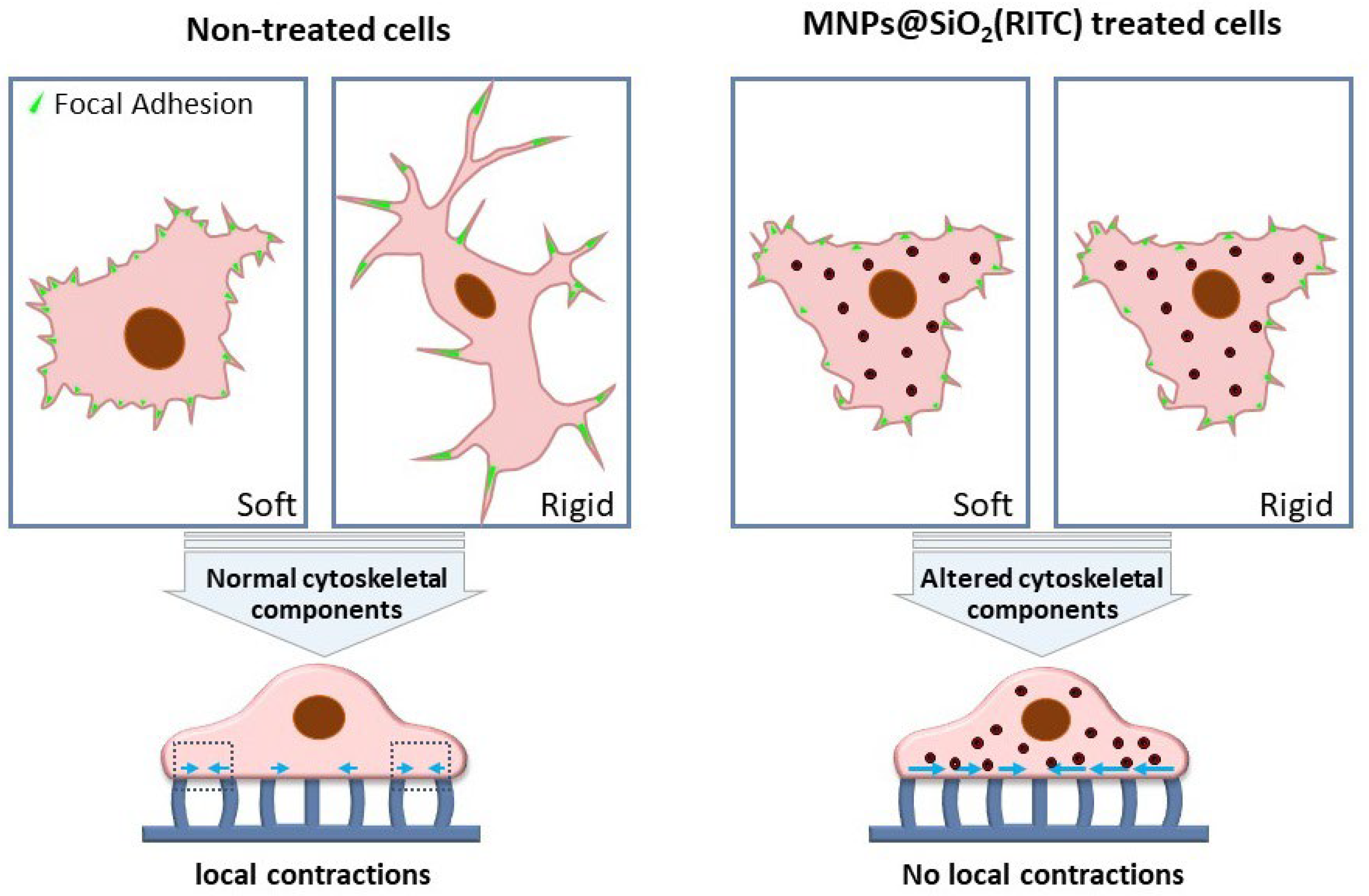 Nanomaterials 13 01682 g004 Nanomaterials 13 01682 g004