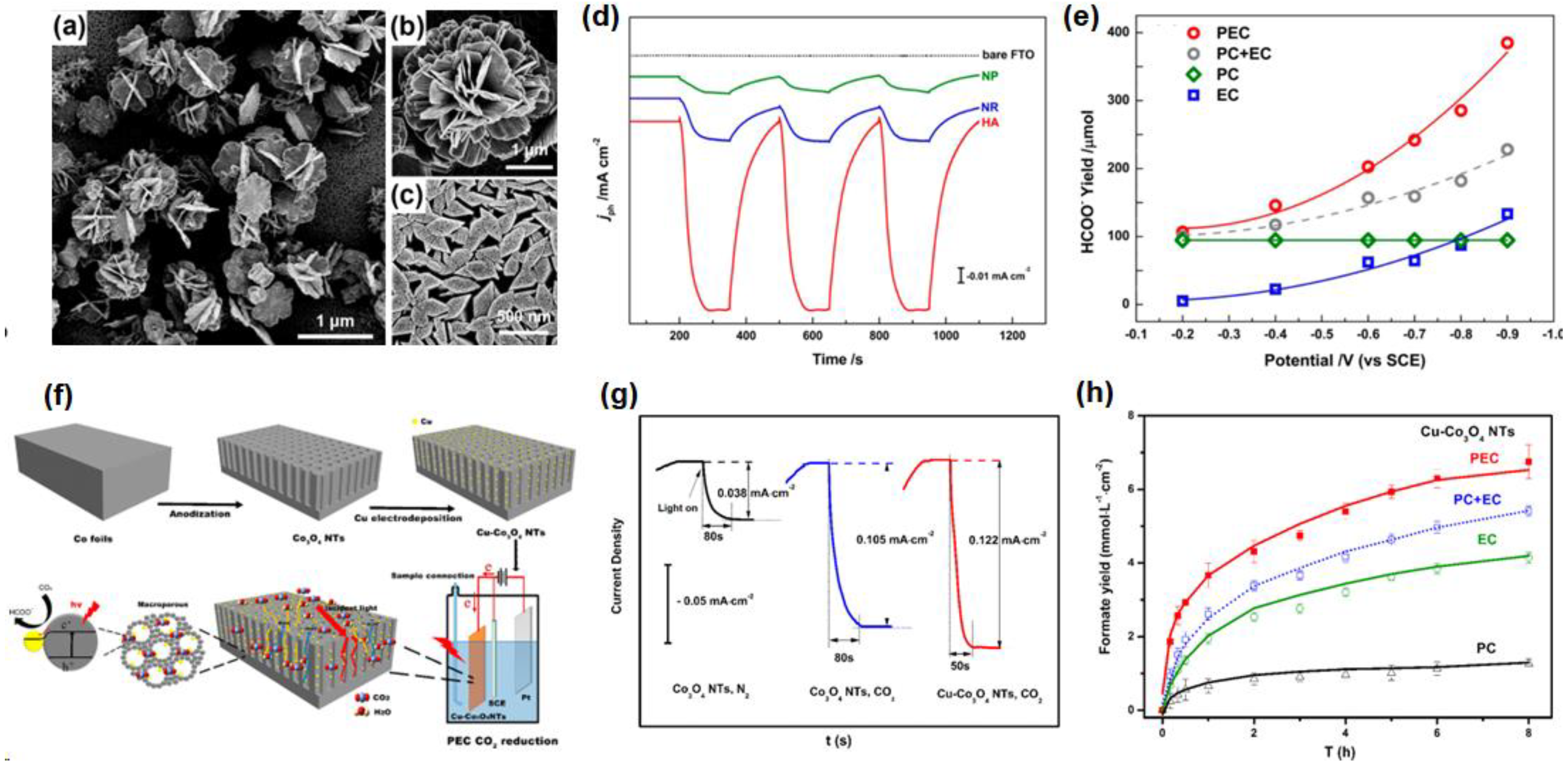 Nanomaterials 13 01683 g004 Nanomaterials 13 01683 g004
