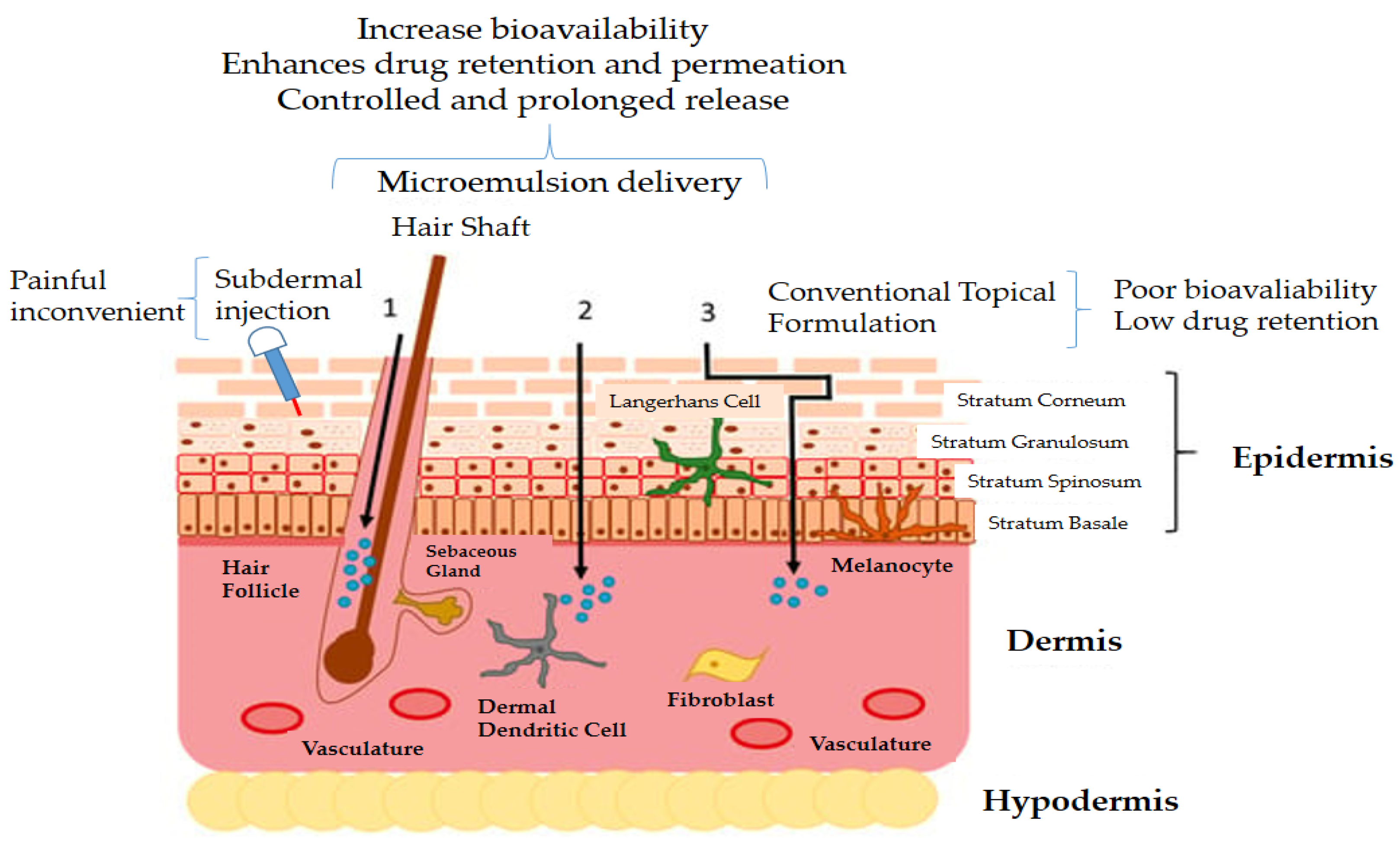 Nanomaterials 13 01688 g006 Nanomaterials 13 01688 g006