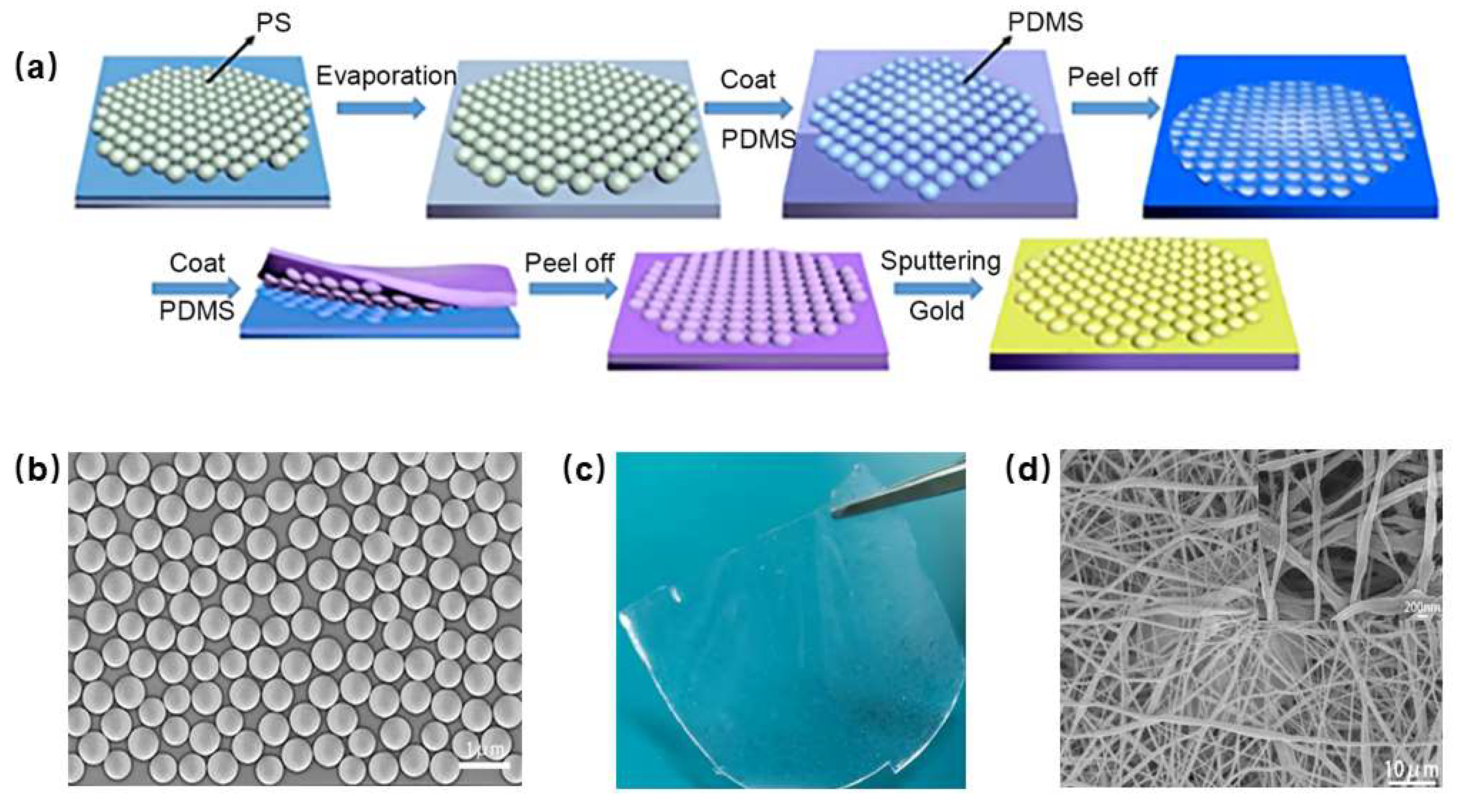 Nanomaterials 13 01702 g001