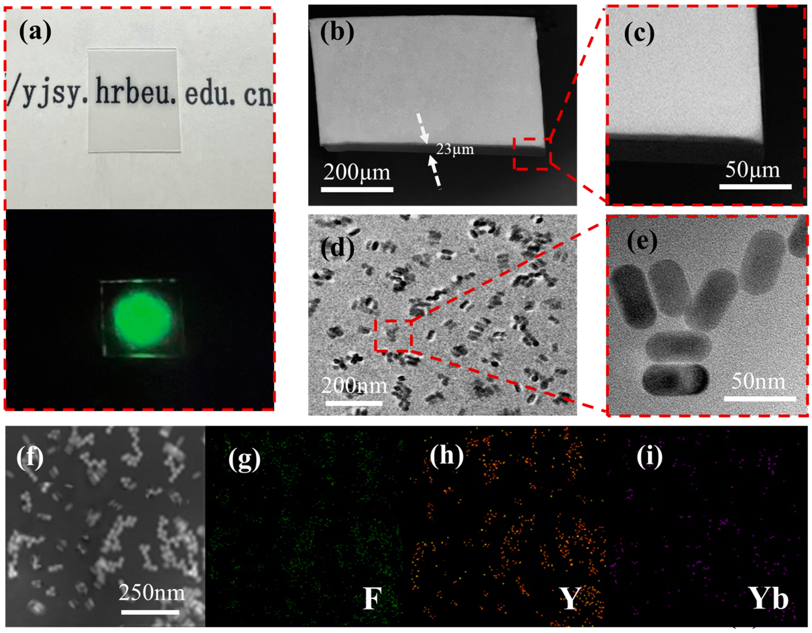 Nanomaterials 13 01704 g002