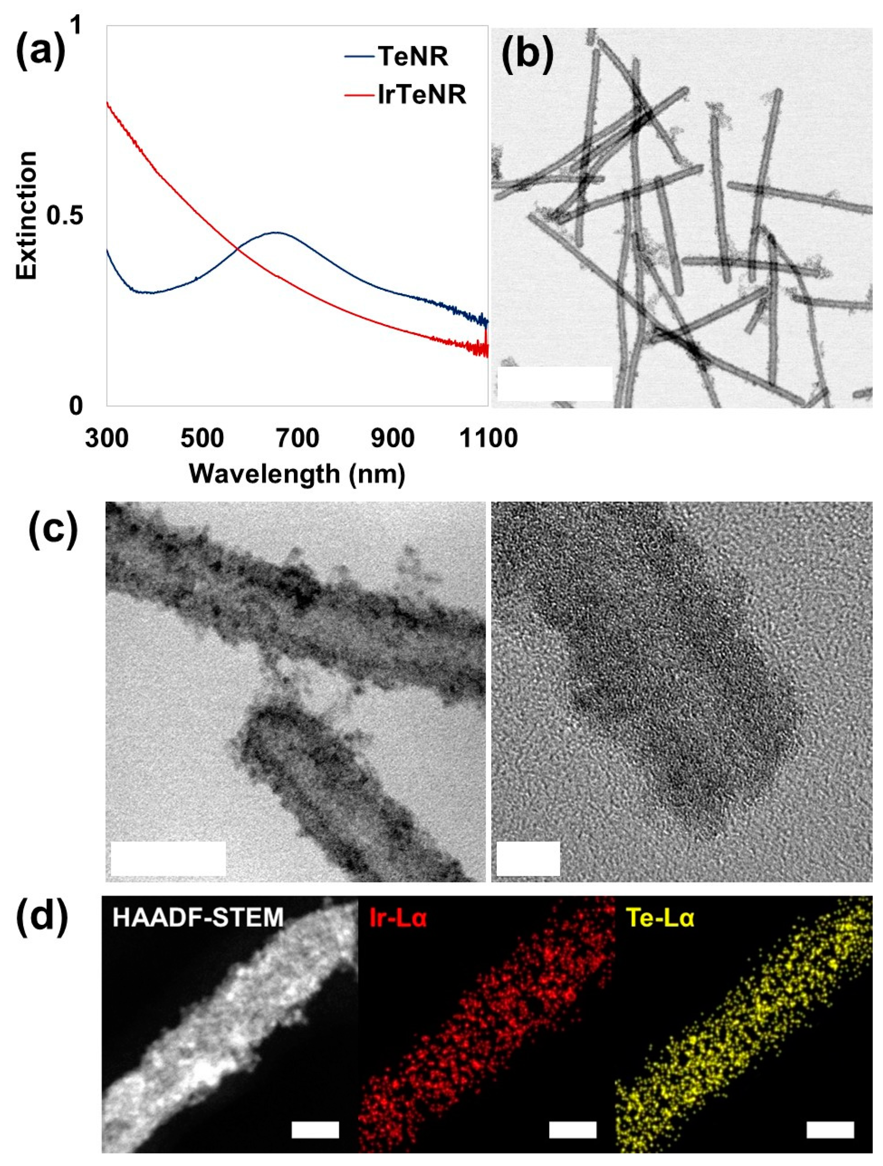 Nanomaterials 13 01706 g002