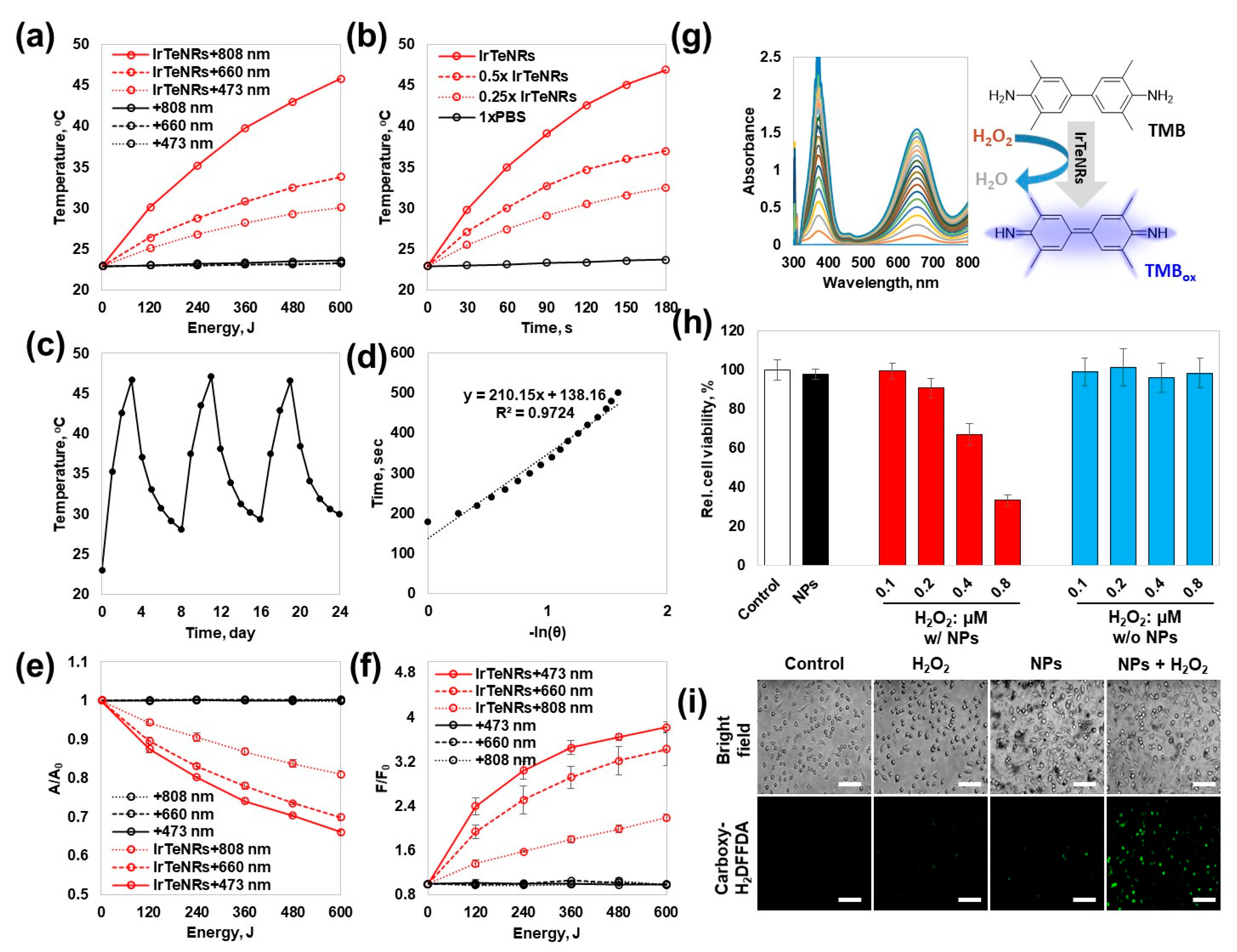 Nanomaterials 13 01706 g004