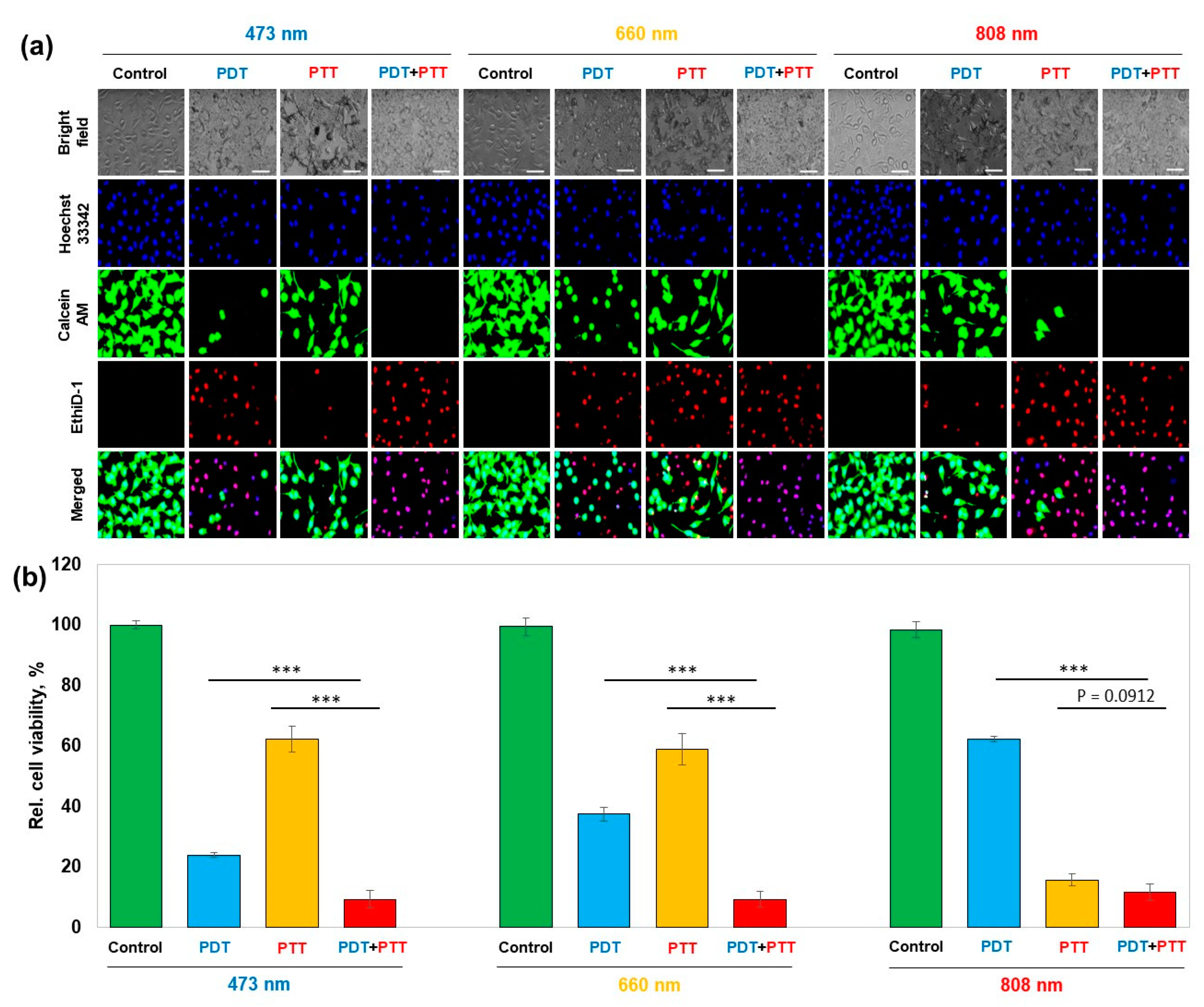 Nanomaterials 13 01706 g005