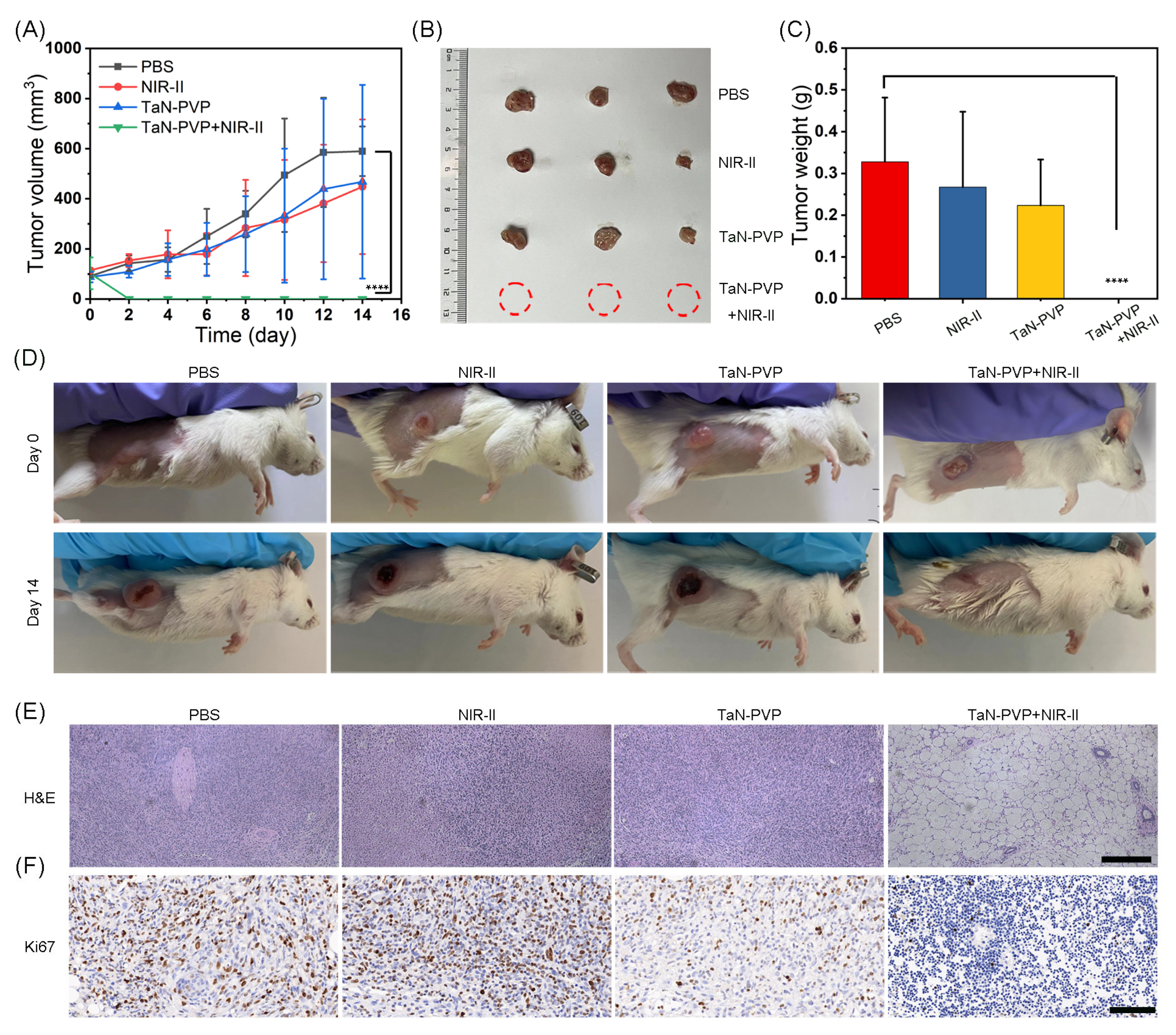 Nanomaterials 13 01708 g005 Nanomaterials 13 01708 g005