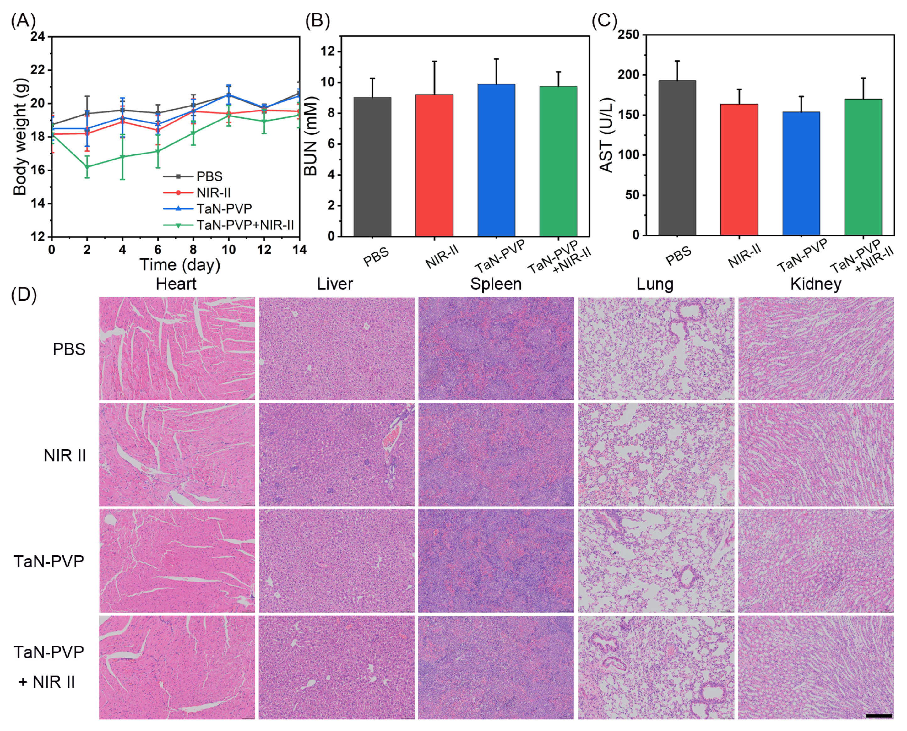 Nanomaterials 13 01708 g006 Nanomaterials 13 01708 g006