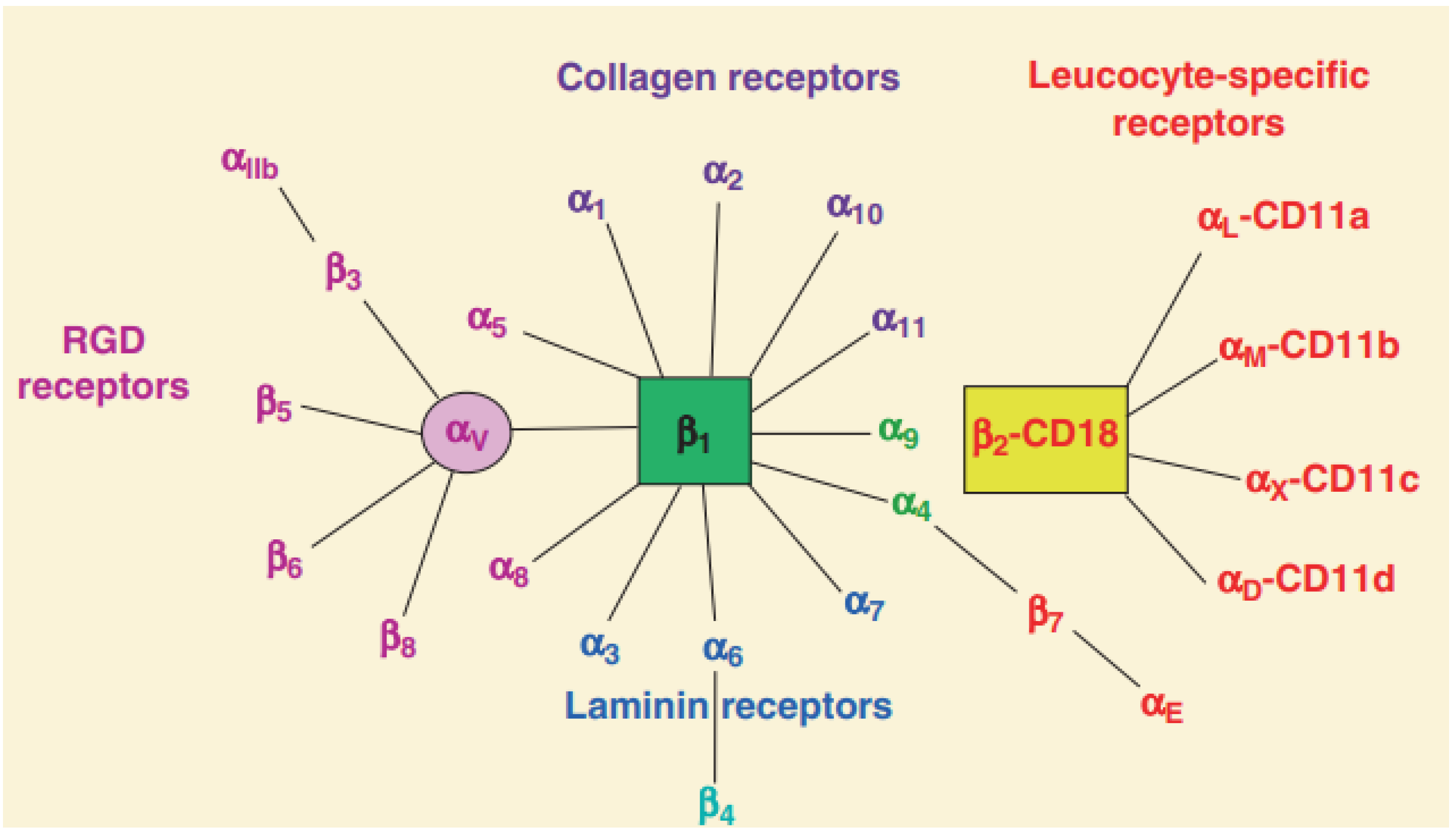 Nanomaterials 13 01721 g001 Nanomaterials 13 01721 g001