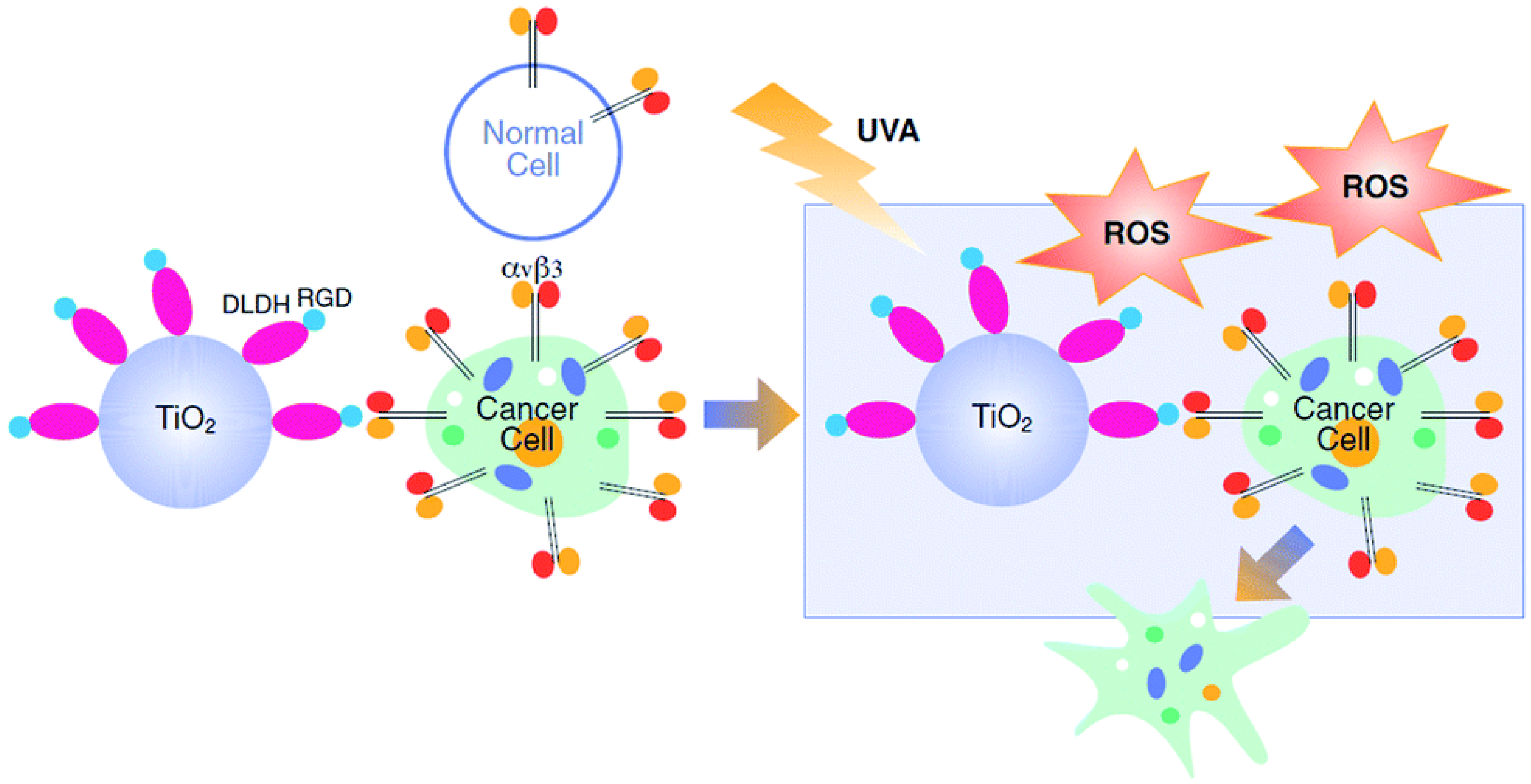 Nanomaterials 13 01721 g007 Nanomaterials 13 01721 g007