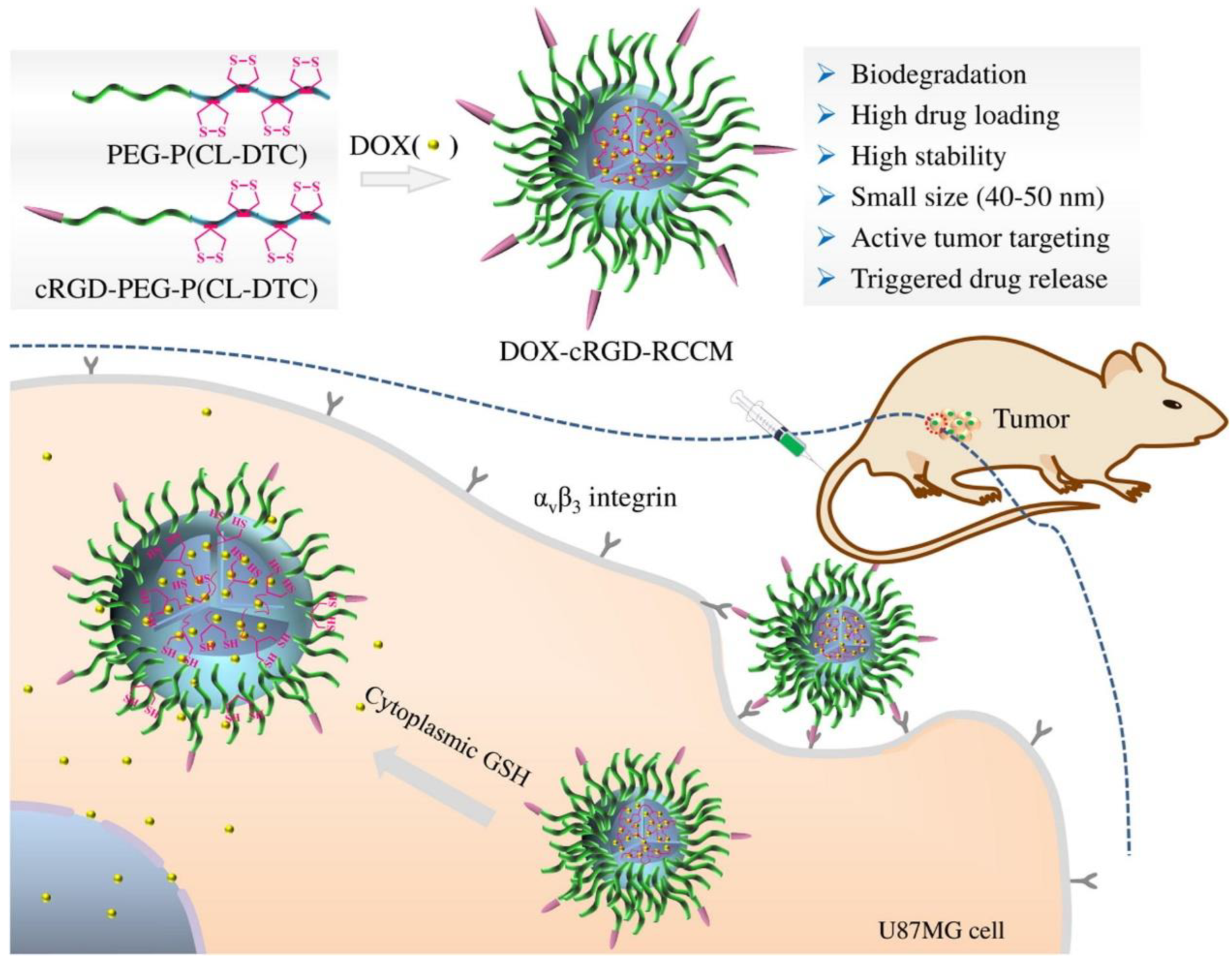 Nanomaterials 13 01721 g008 Nanomaterials 13 01721 g008