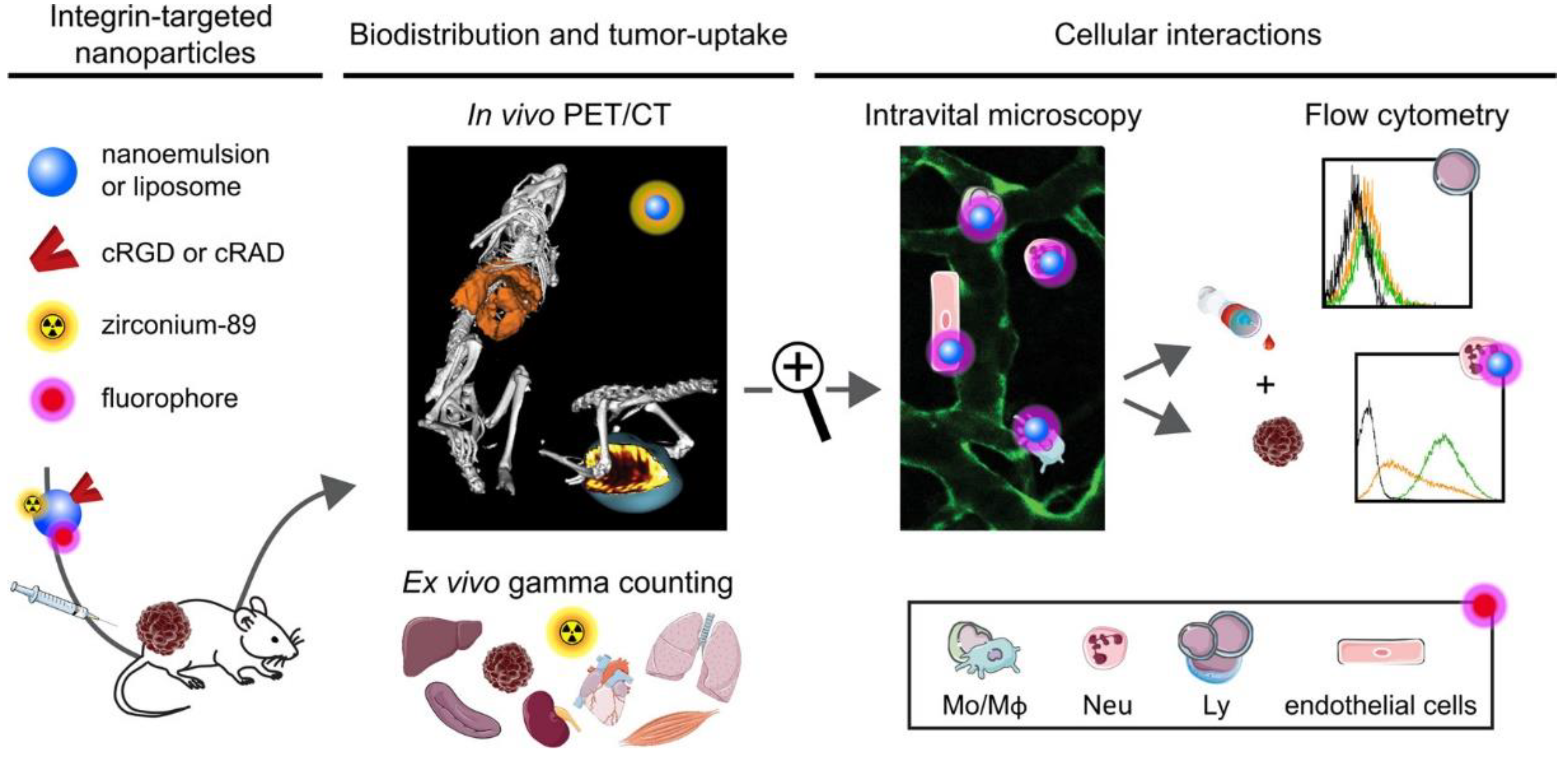 Nanomaterials 13 01721 g009 Nanomaterials 13 01721 g009