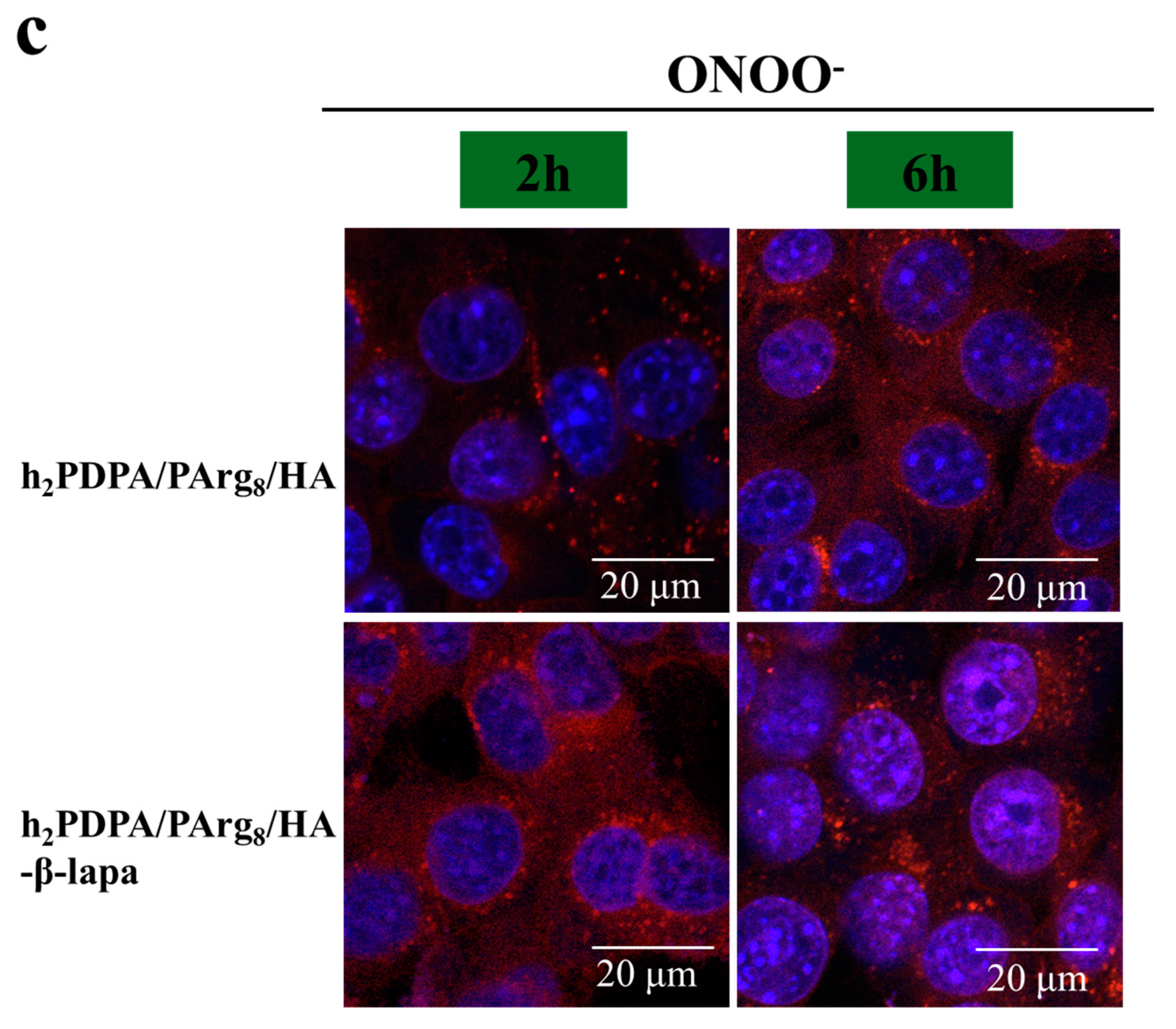 Nanomaterials 13 01725 g007b