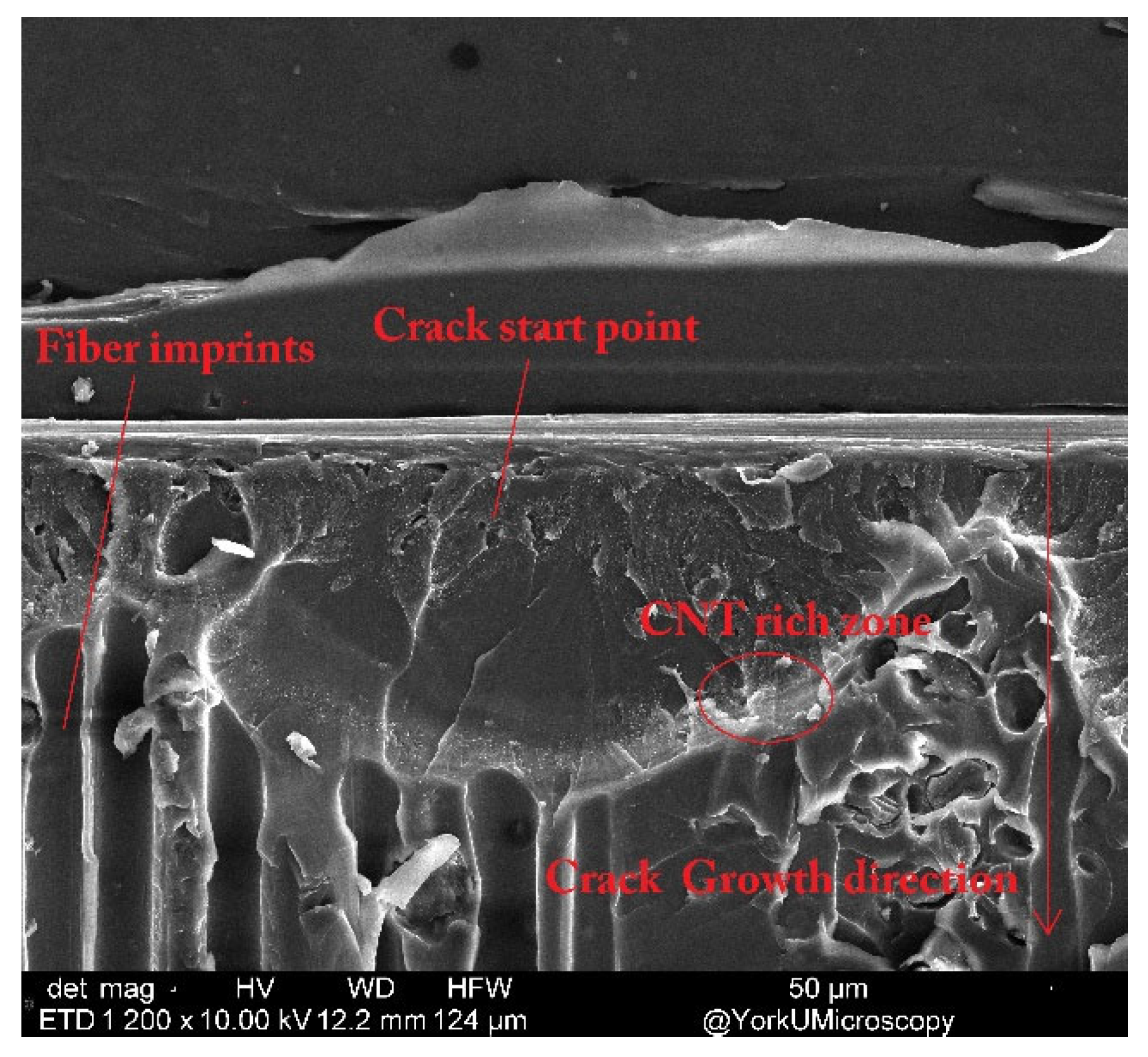 Nanomaterials 13 01729 g014