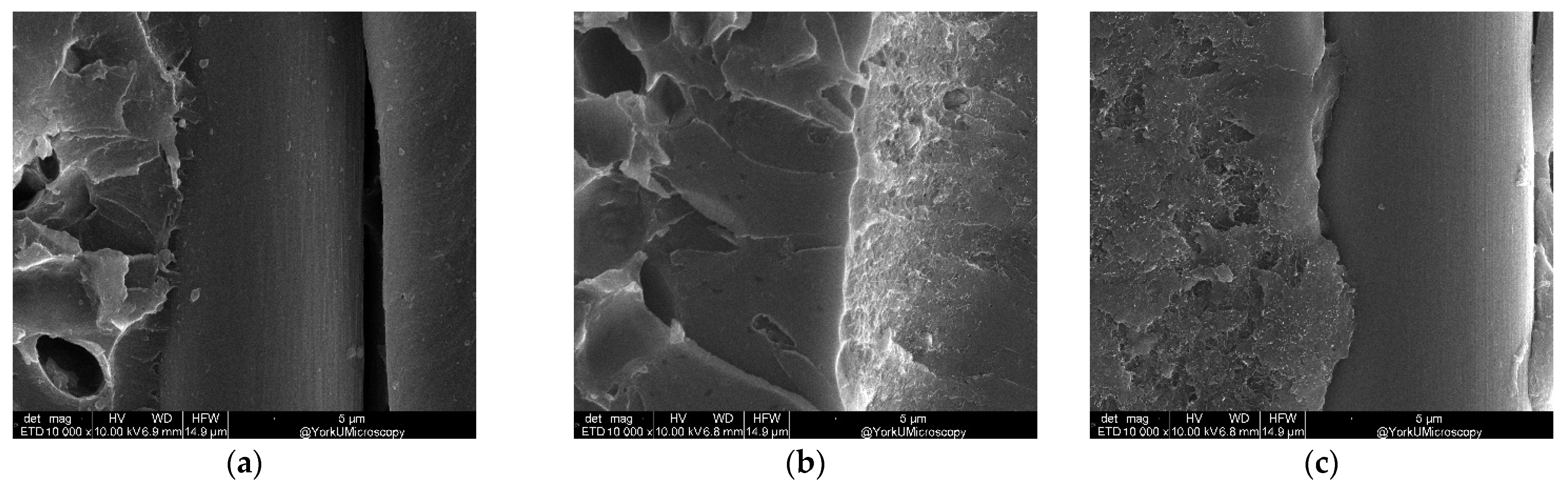 Nanomaterials 13 01729 g017a