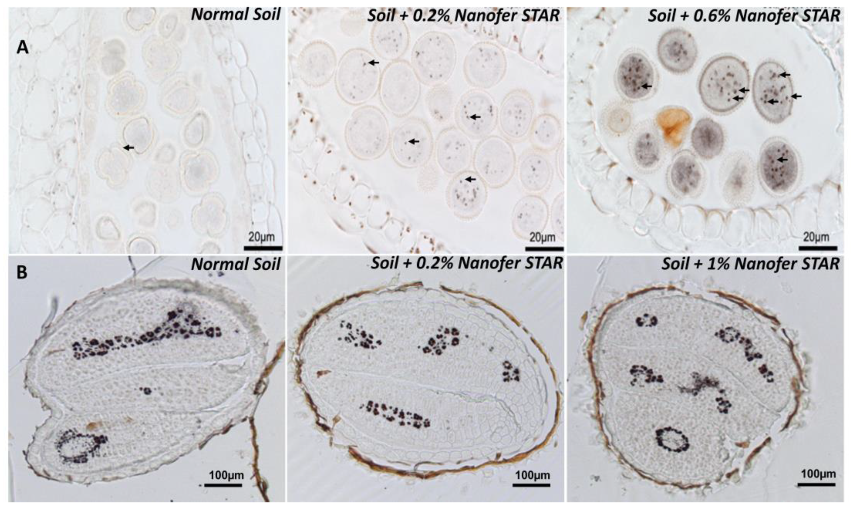 Nanomaterials 13 01736 g002