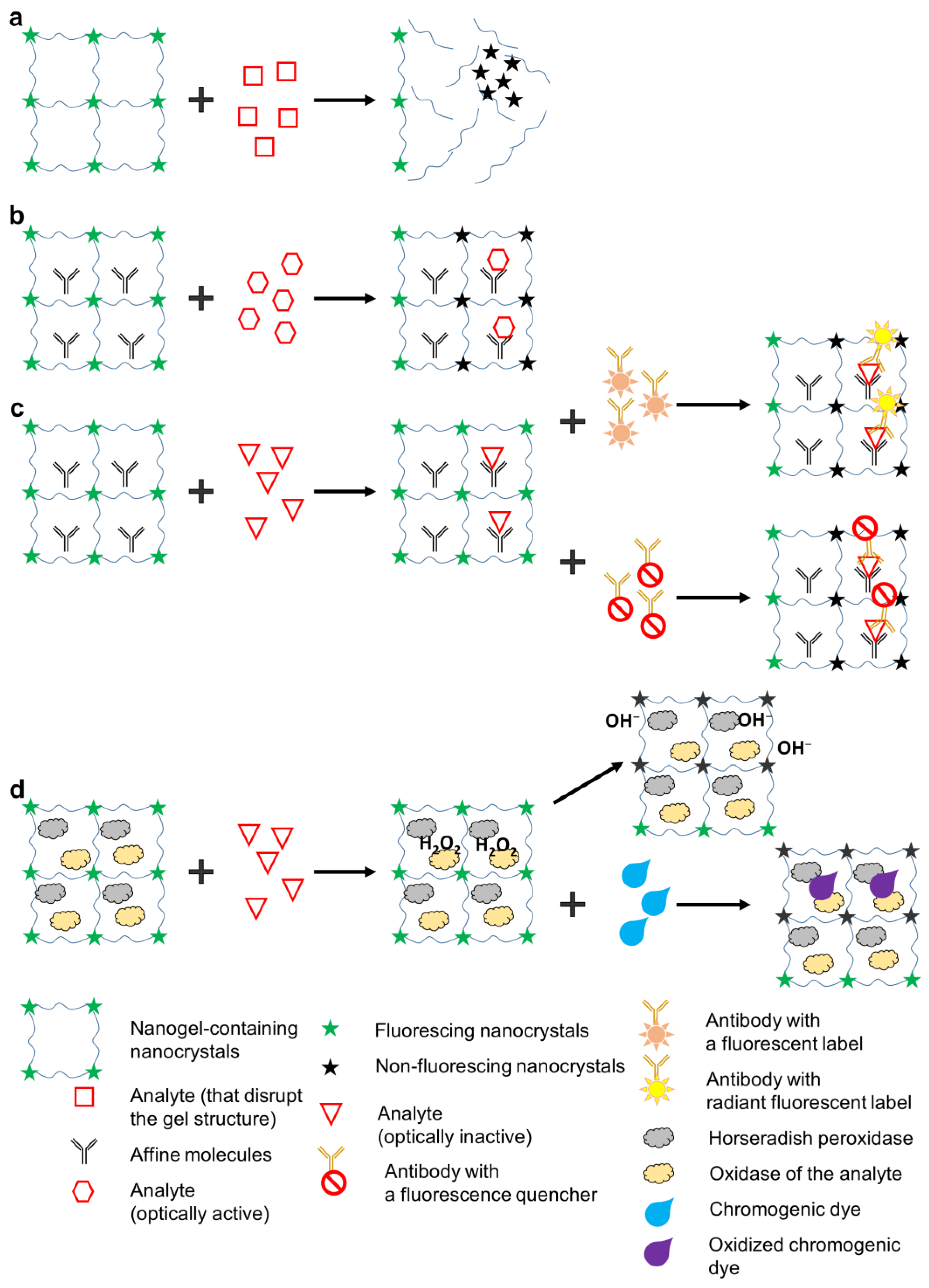Nanomaterials 13 01748 g004 Nanomaterials 13 01748 g004