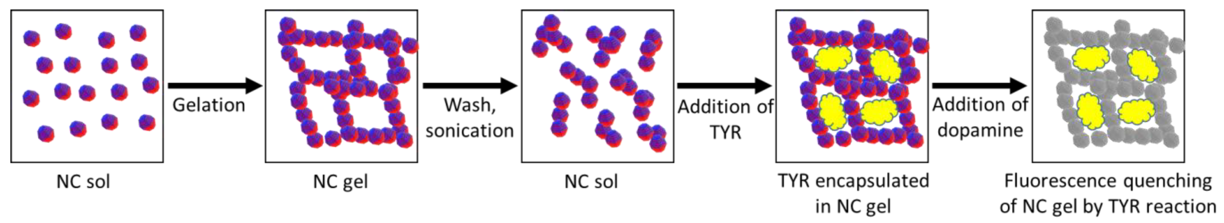 Nanomaterials 13 01748 g005 Nanomaterials 13 01748 g005