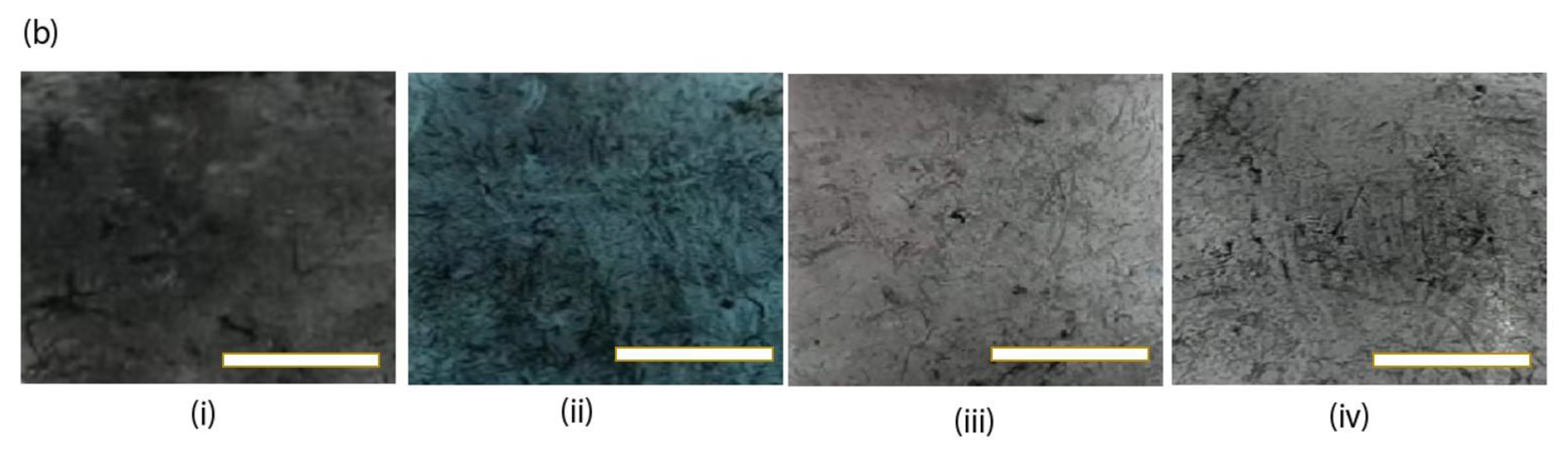 Nanomaterials 13 01749 g002b Nanomaterials 13 01749 g002b